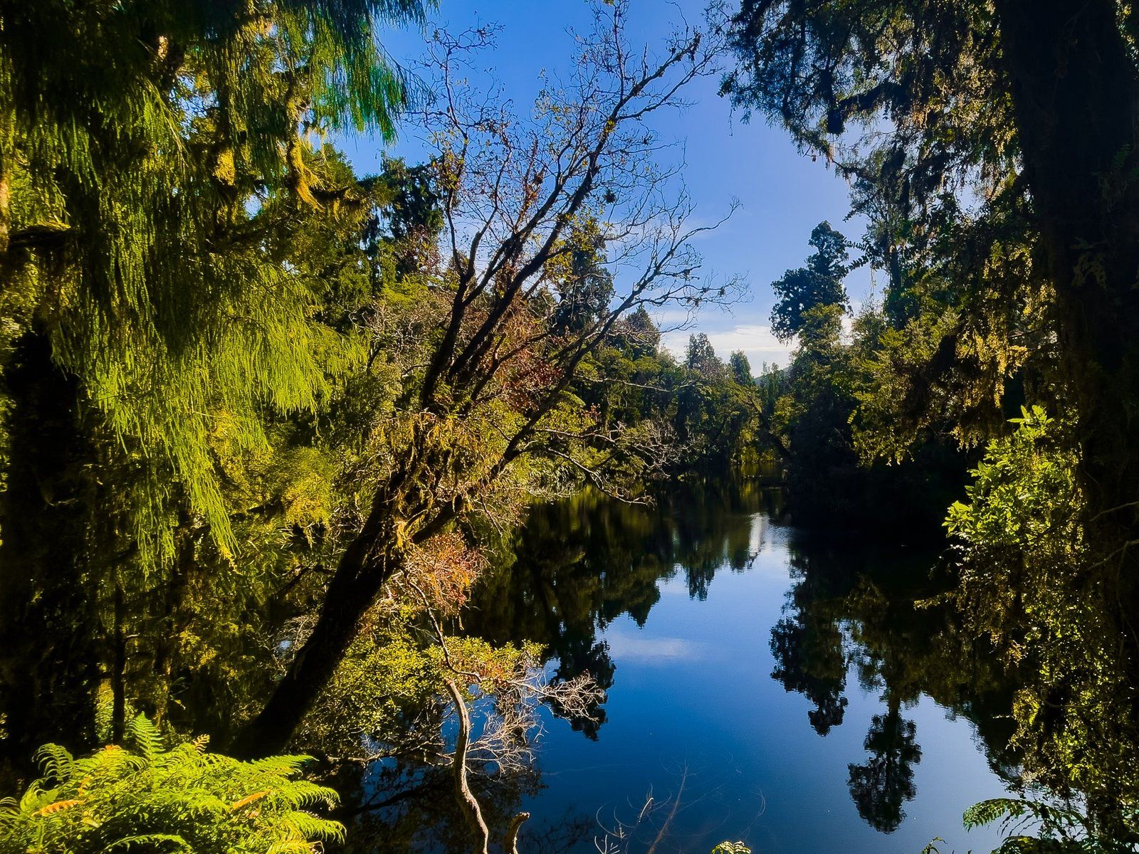 Image 5 of 12