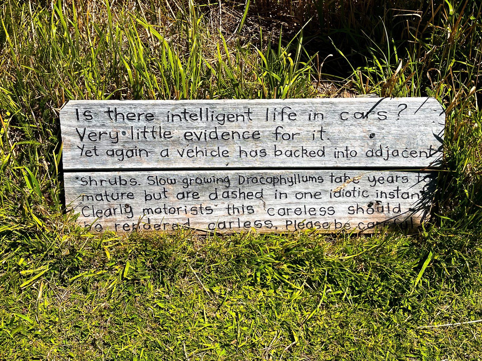 Image 9 of 10