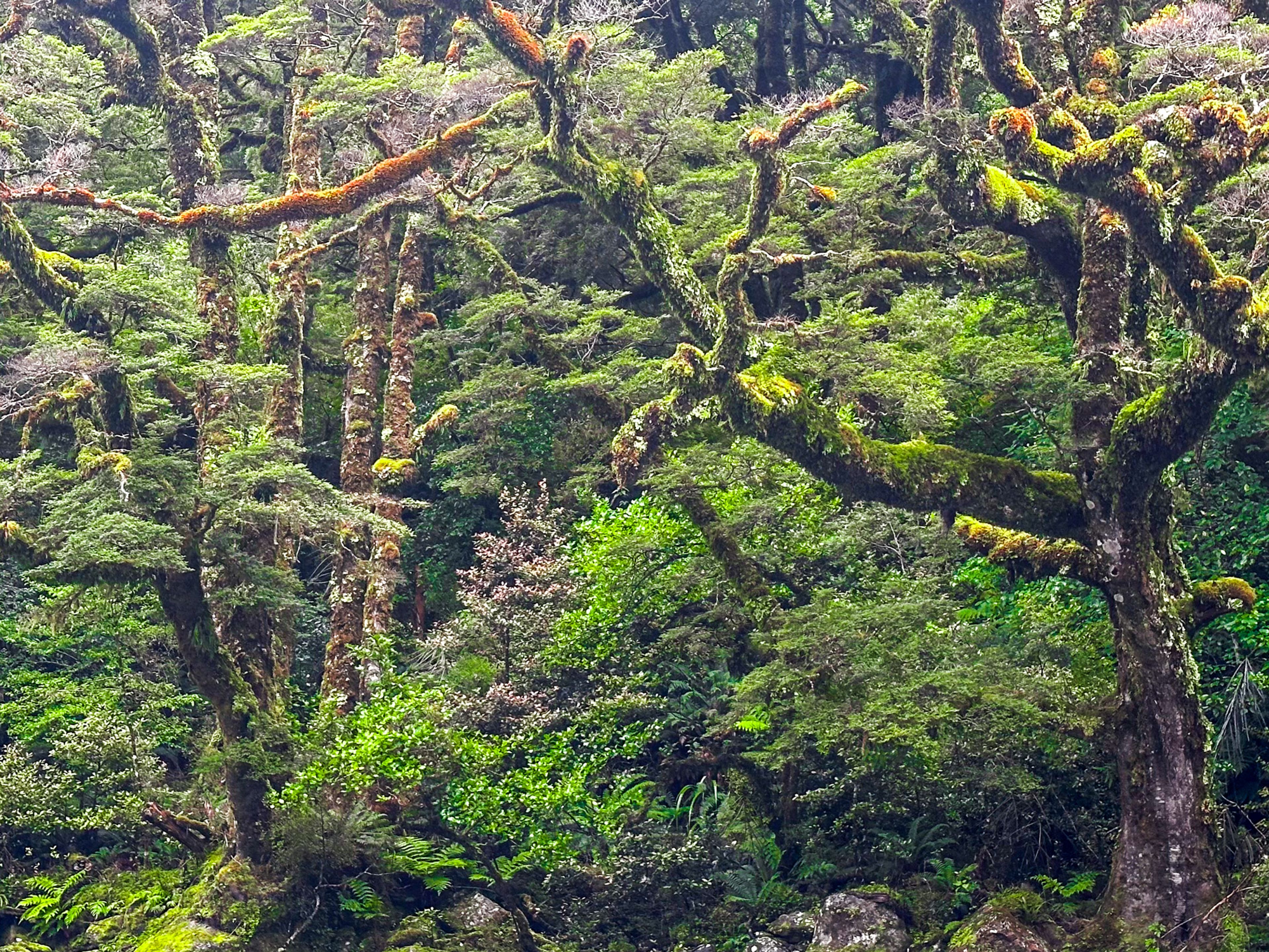 Image 7 of 10