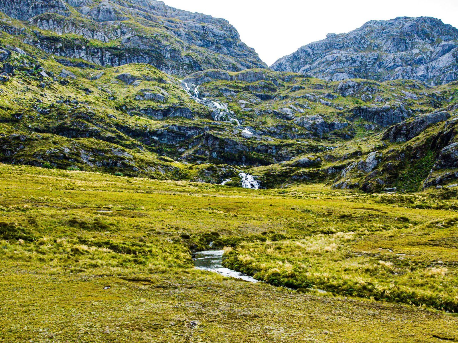 Image 7 of 10