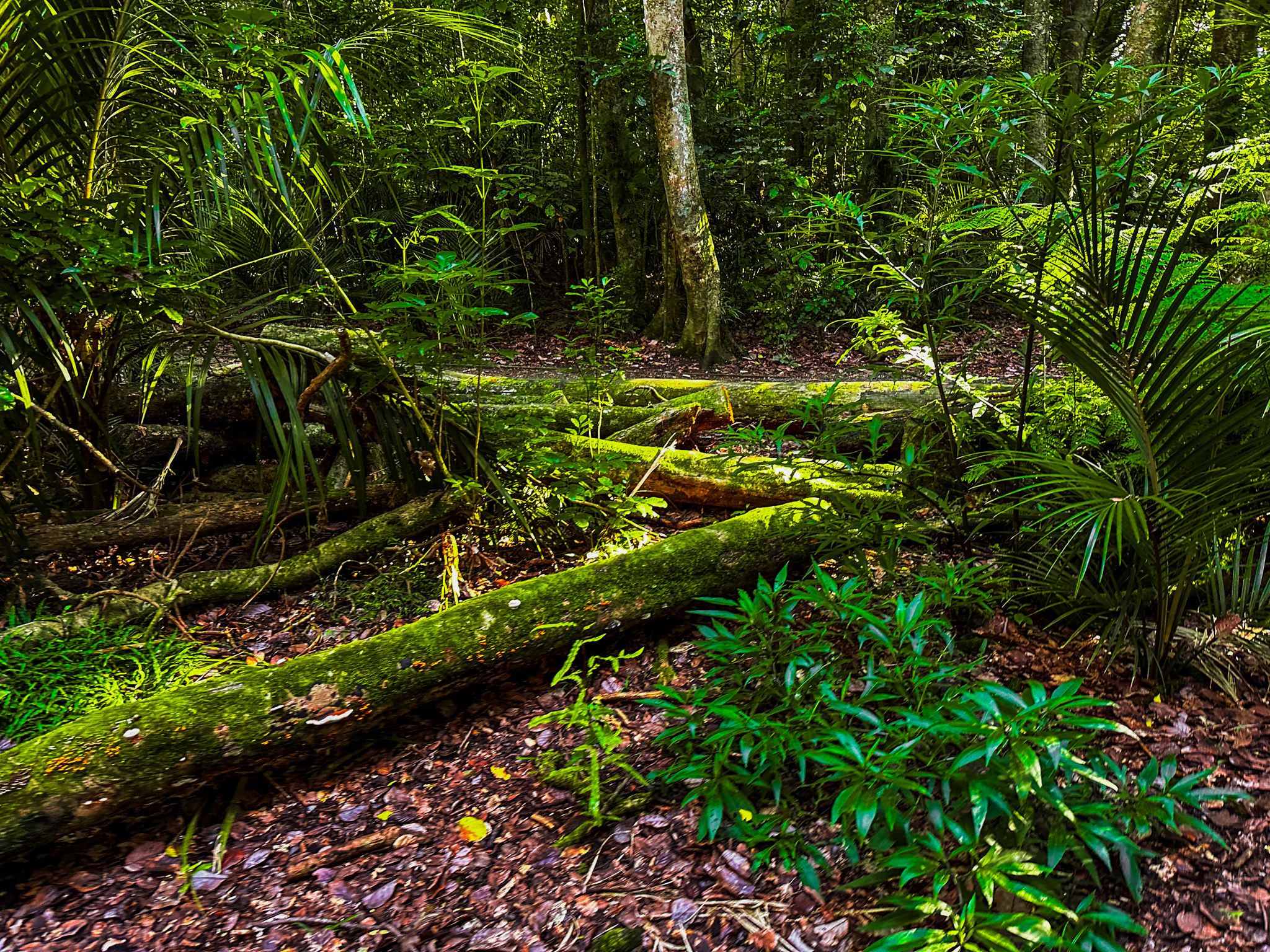 Image 9 of 10