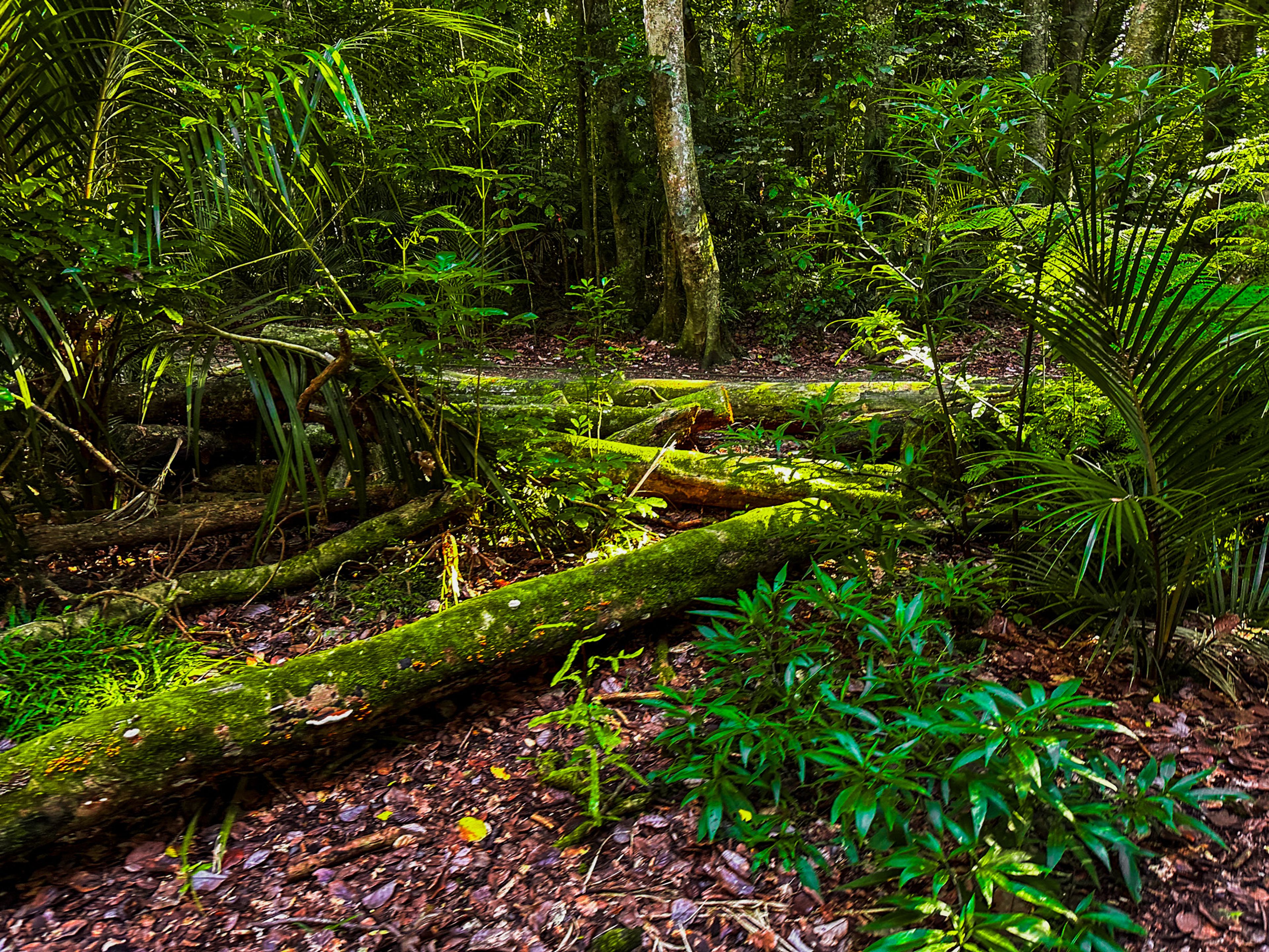 Image 9 of 10