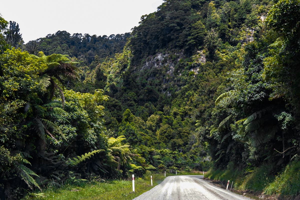 Forgotten World Highway