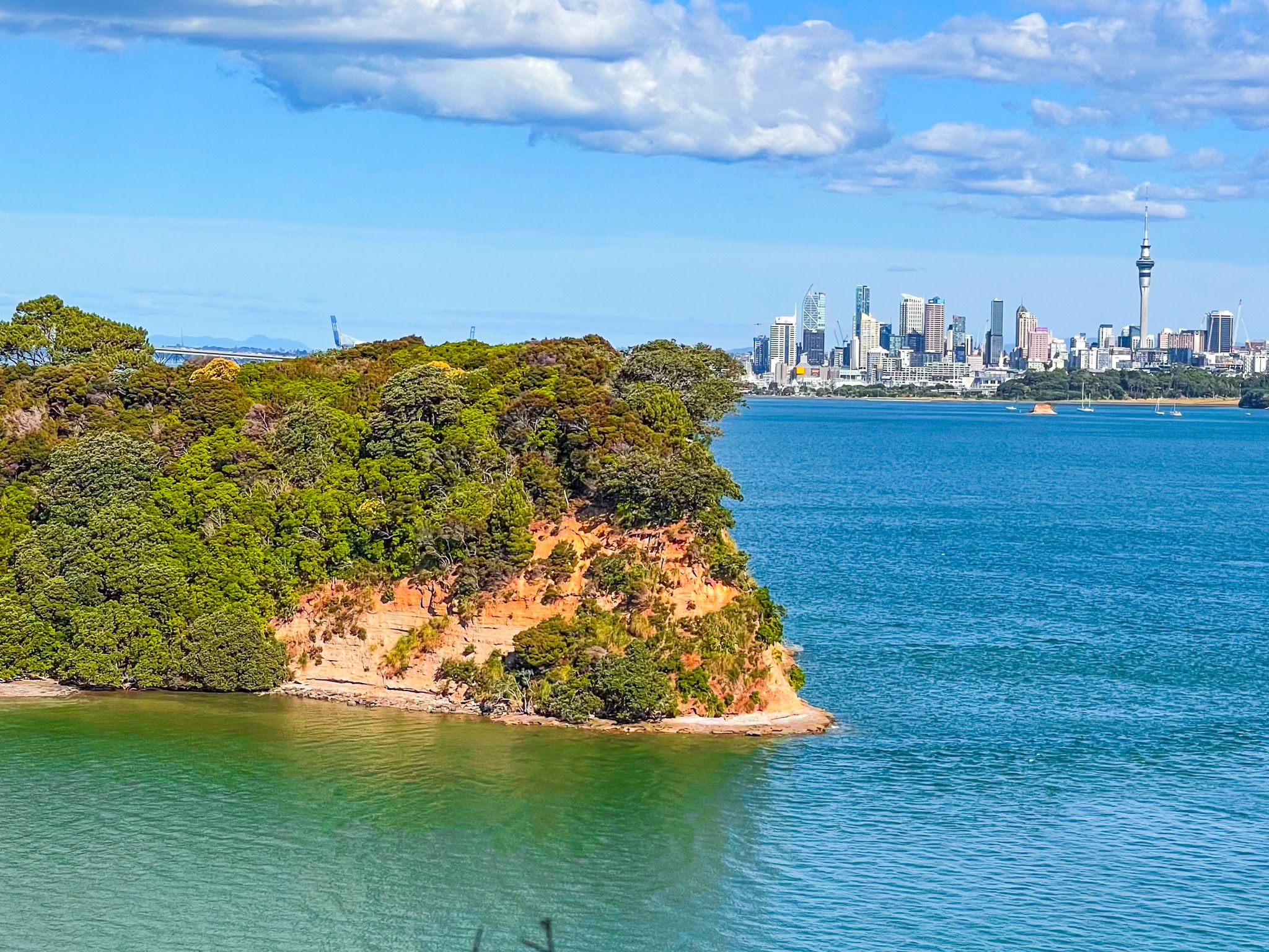 Kauri Point Centennial Park