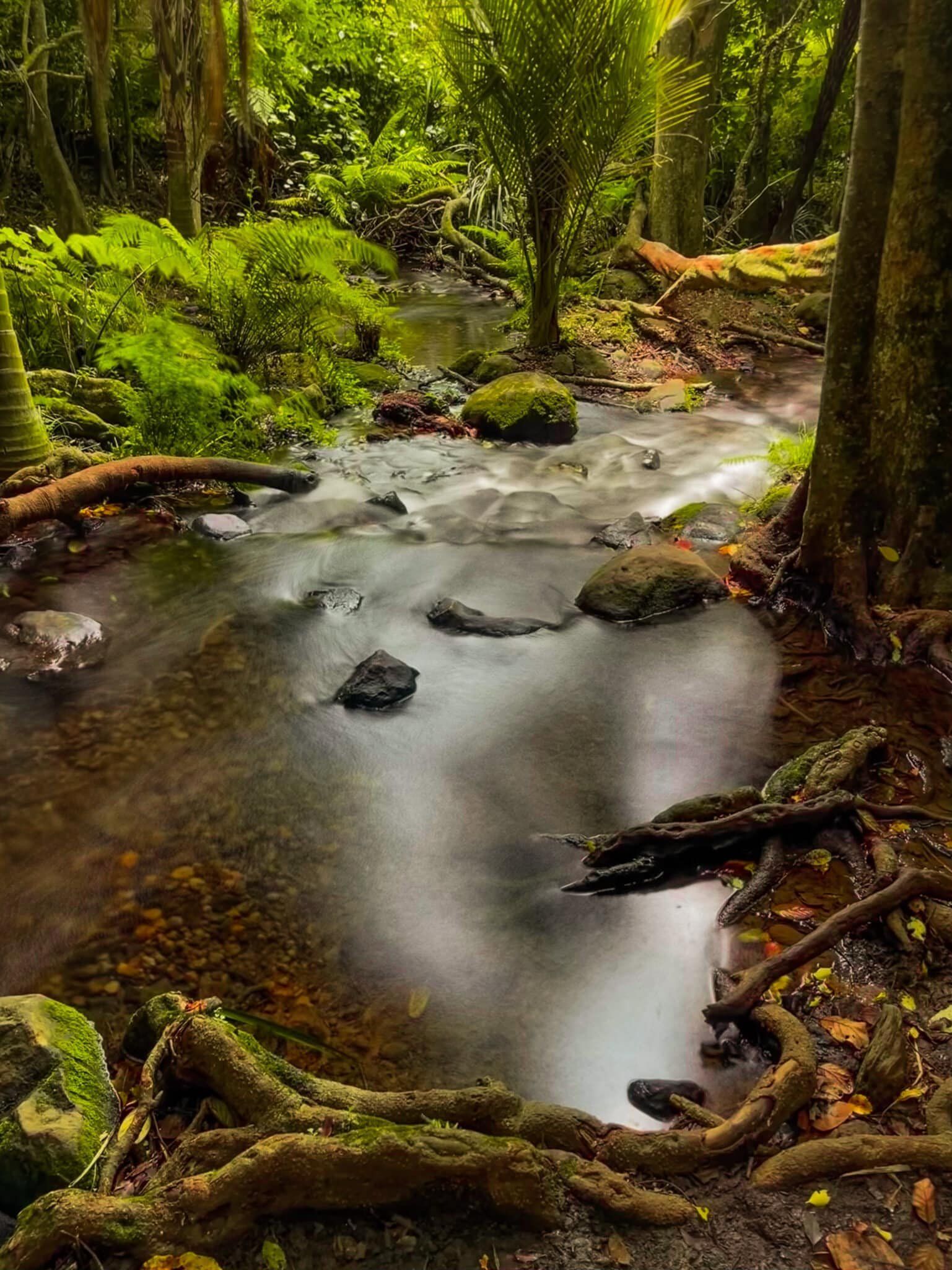 Image 6 of 8
