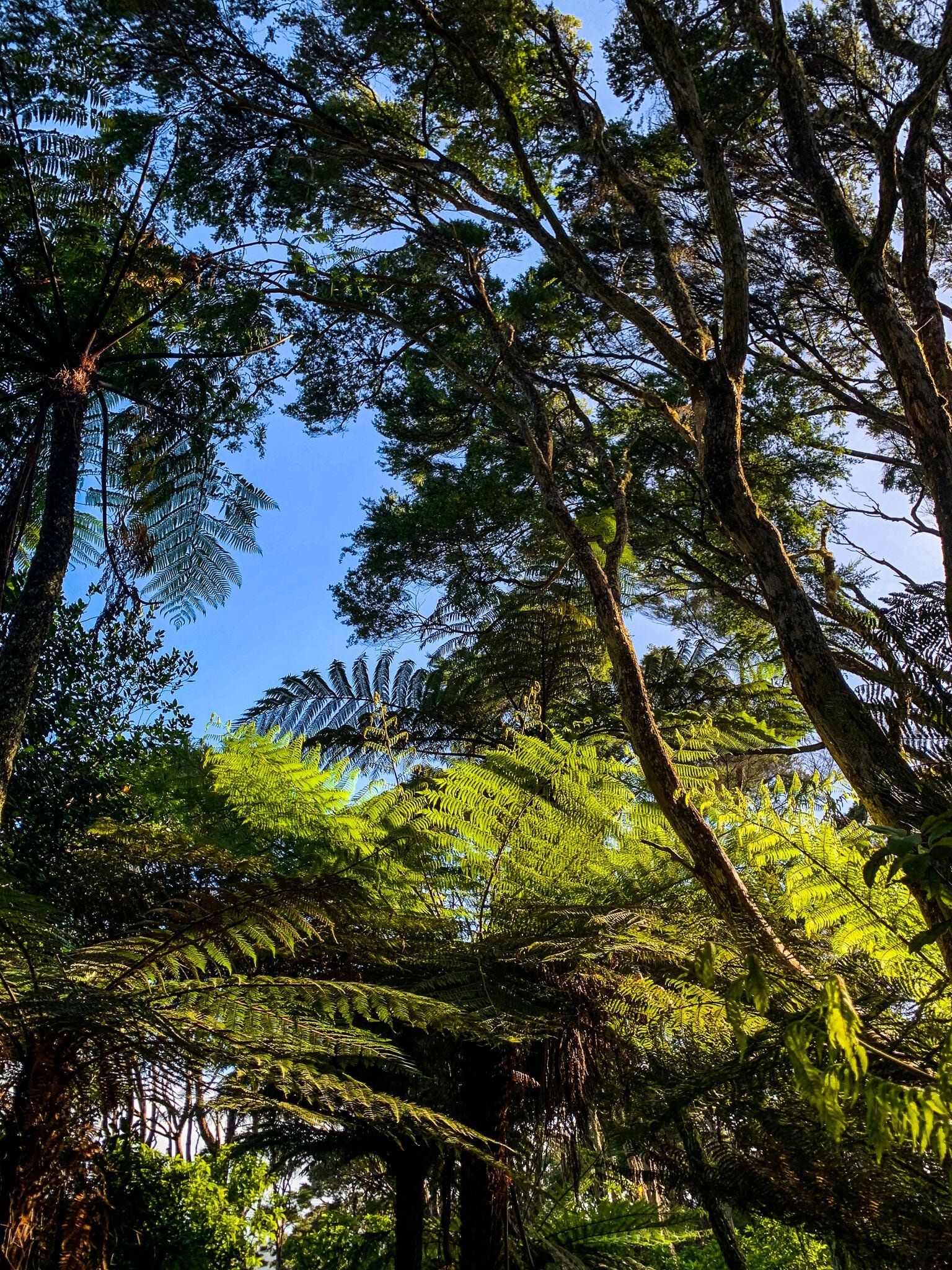 Image 6 of 6