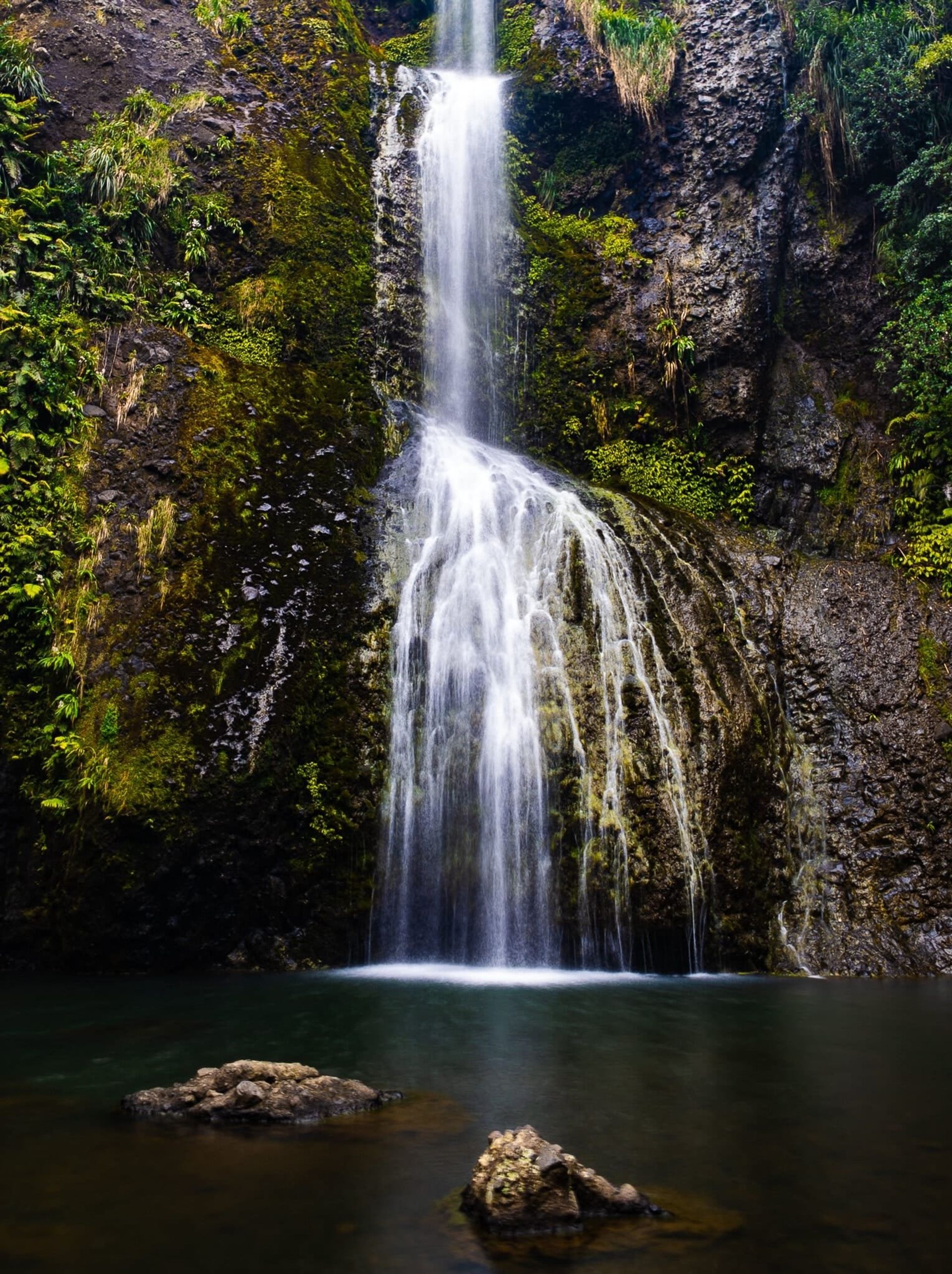 Waitākere Ranges | West Auckland - New Zealand Trip Ideas