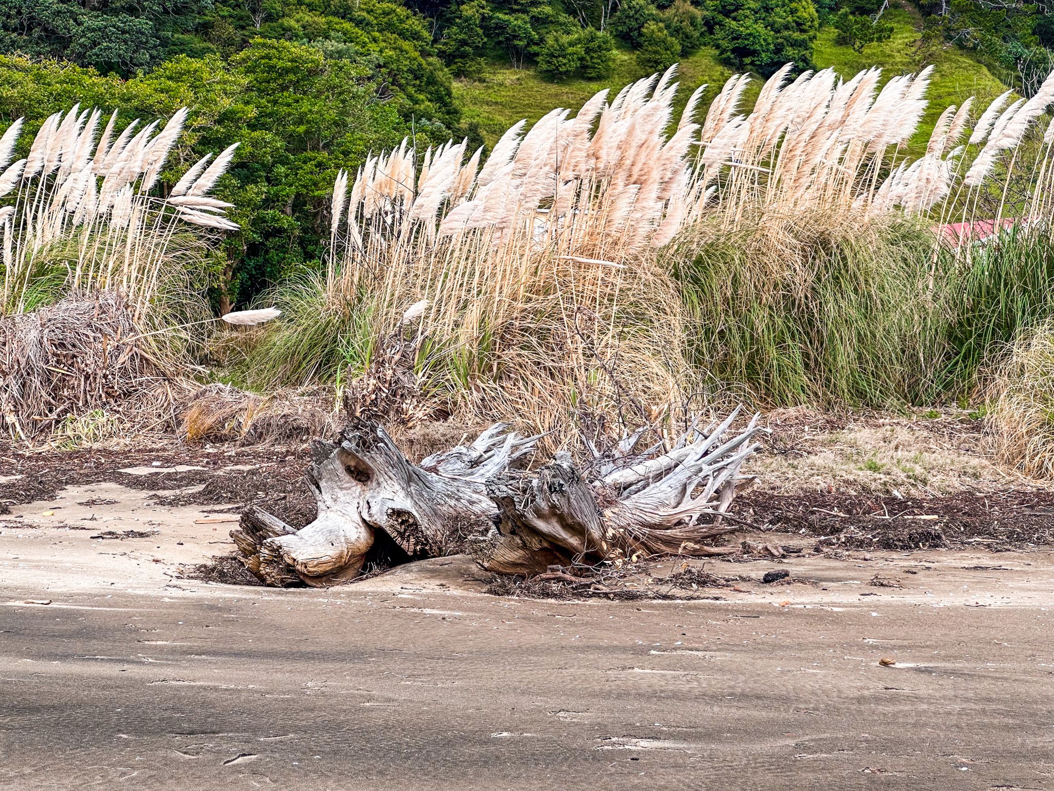 Image 9 of 10