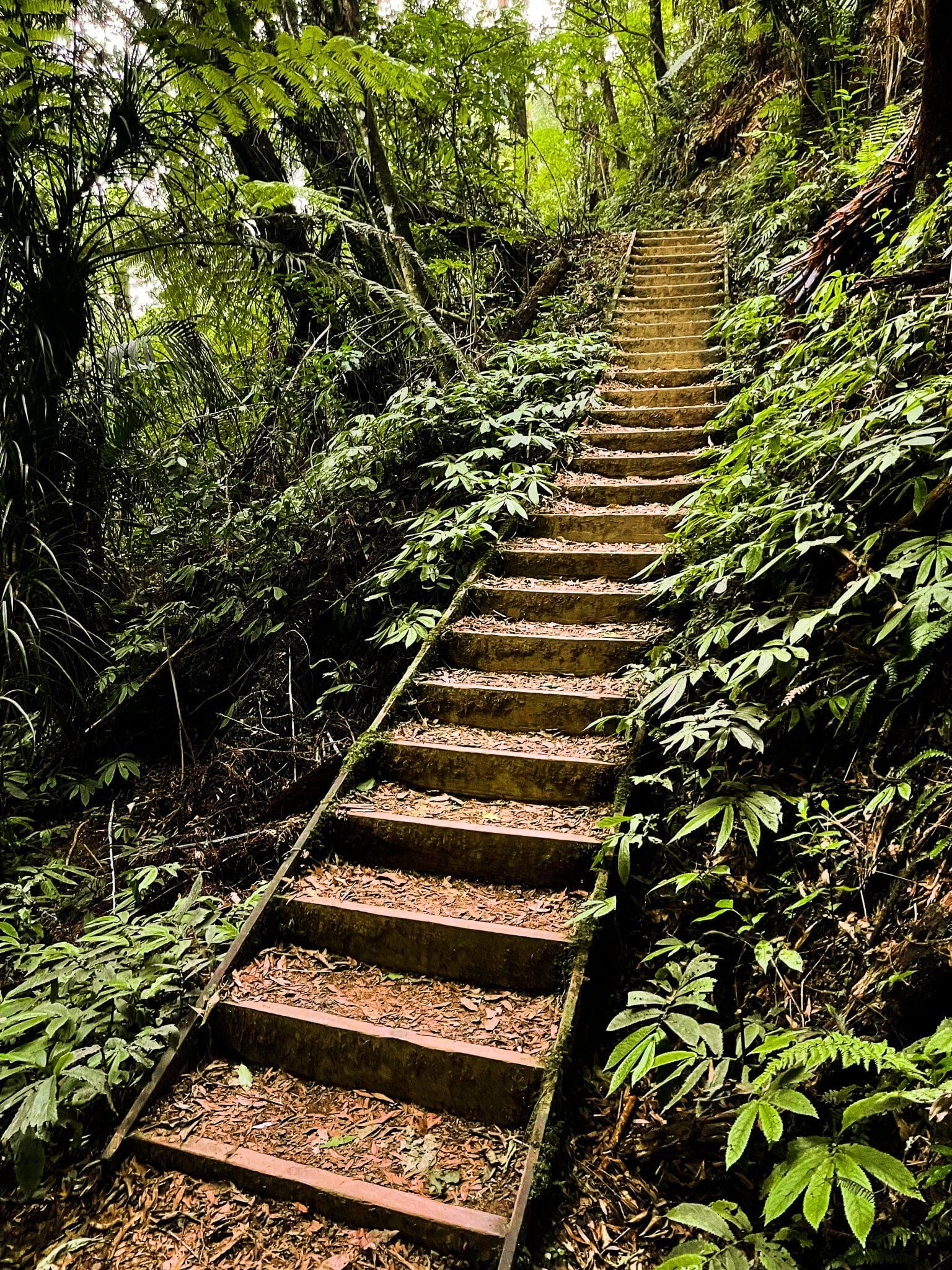 Image 9 of 10