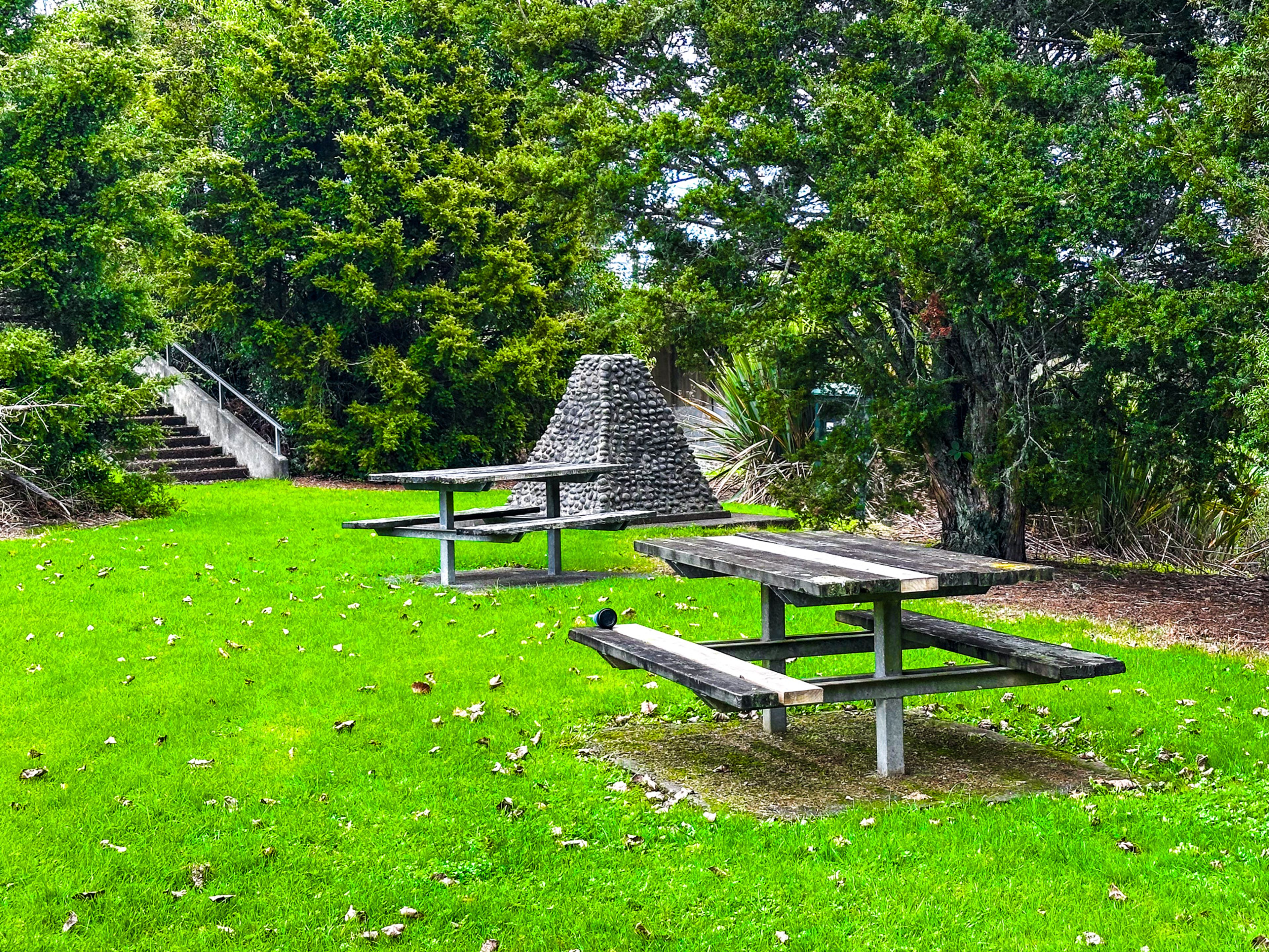 Image 7 of 8