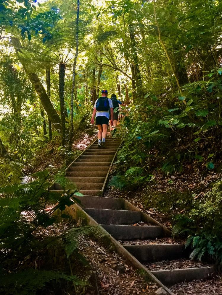 Hunua Ranges | South Auckland - New Zealand Trip Ideas