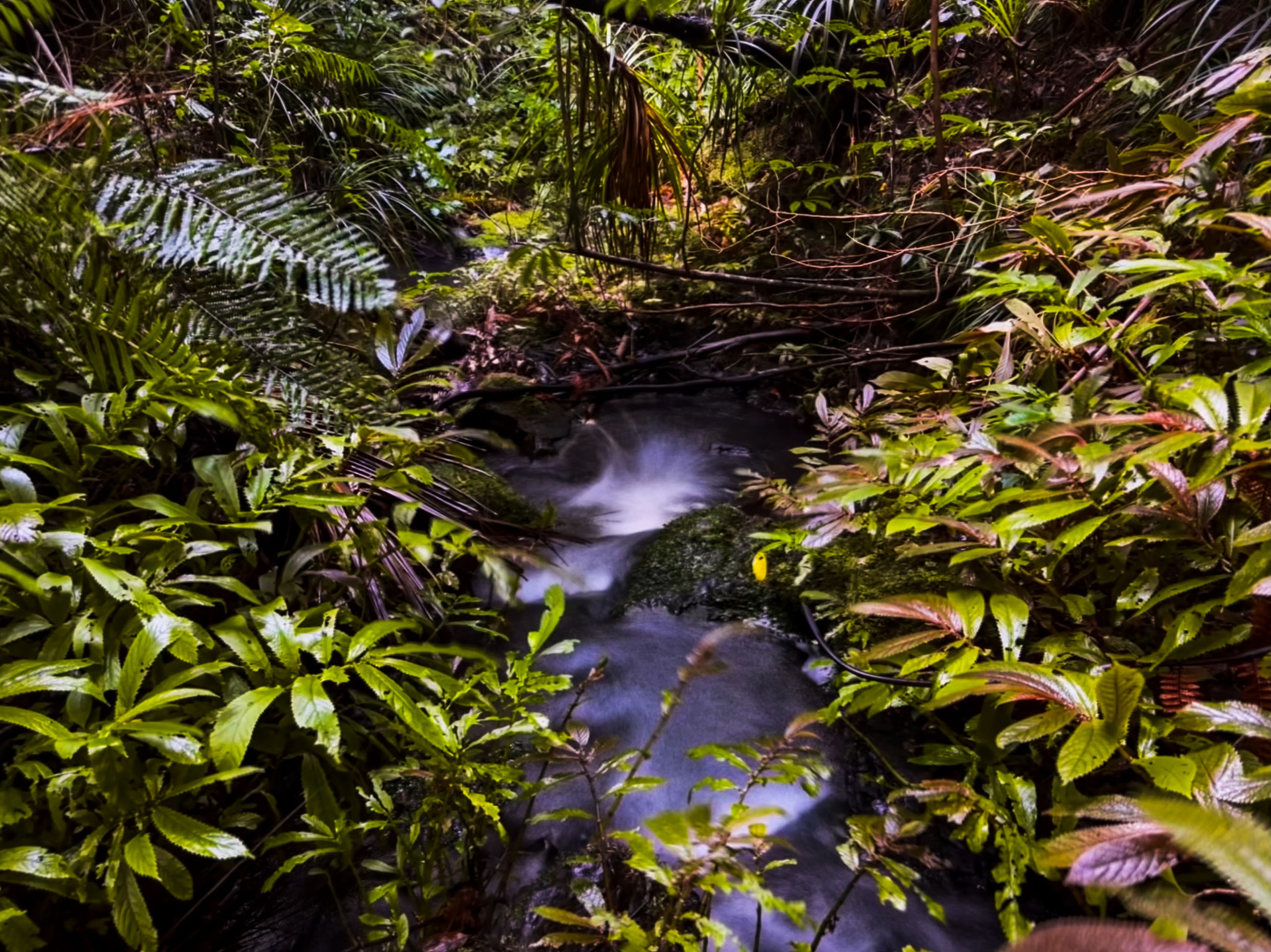 Image 7 of 10