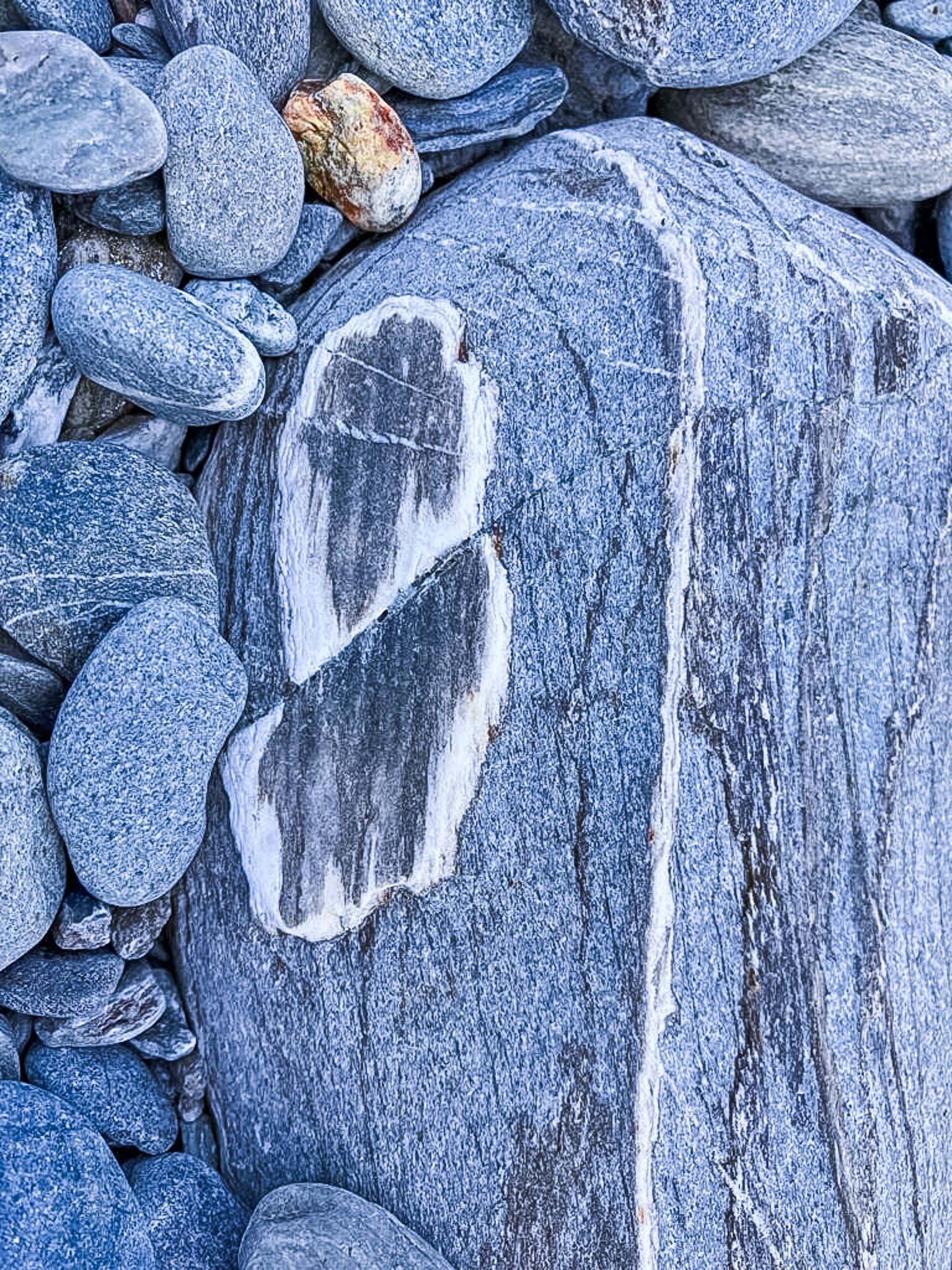 Image 11 of 12