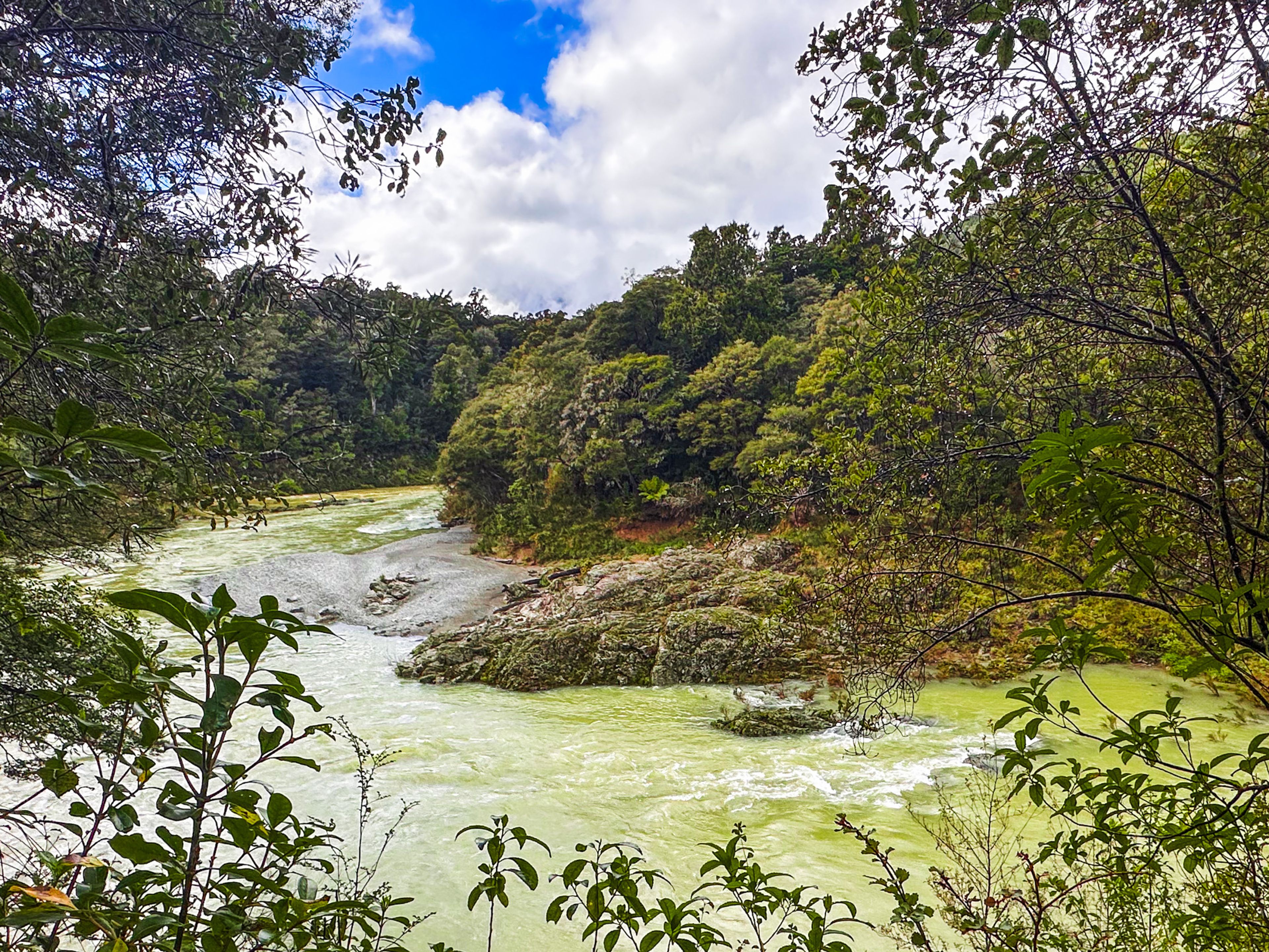 Circle Loop Track, Pelorus Bridge