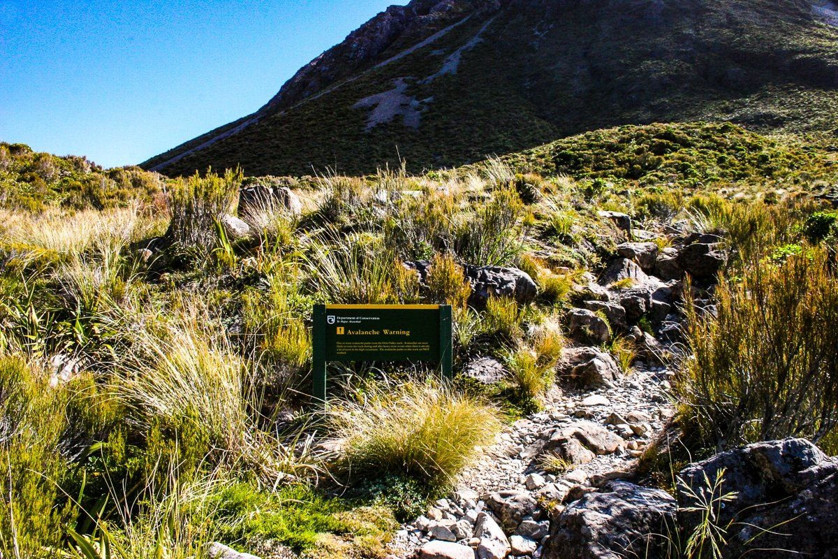 Image 8 of 8