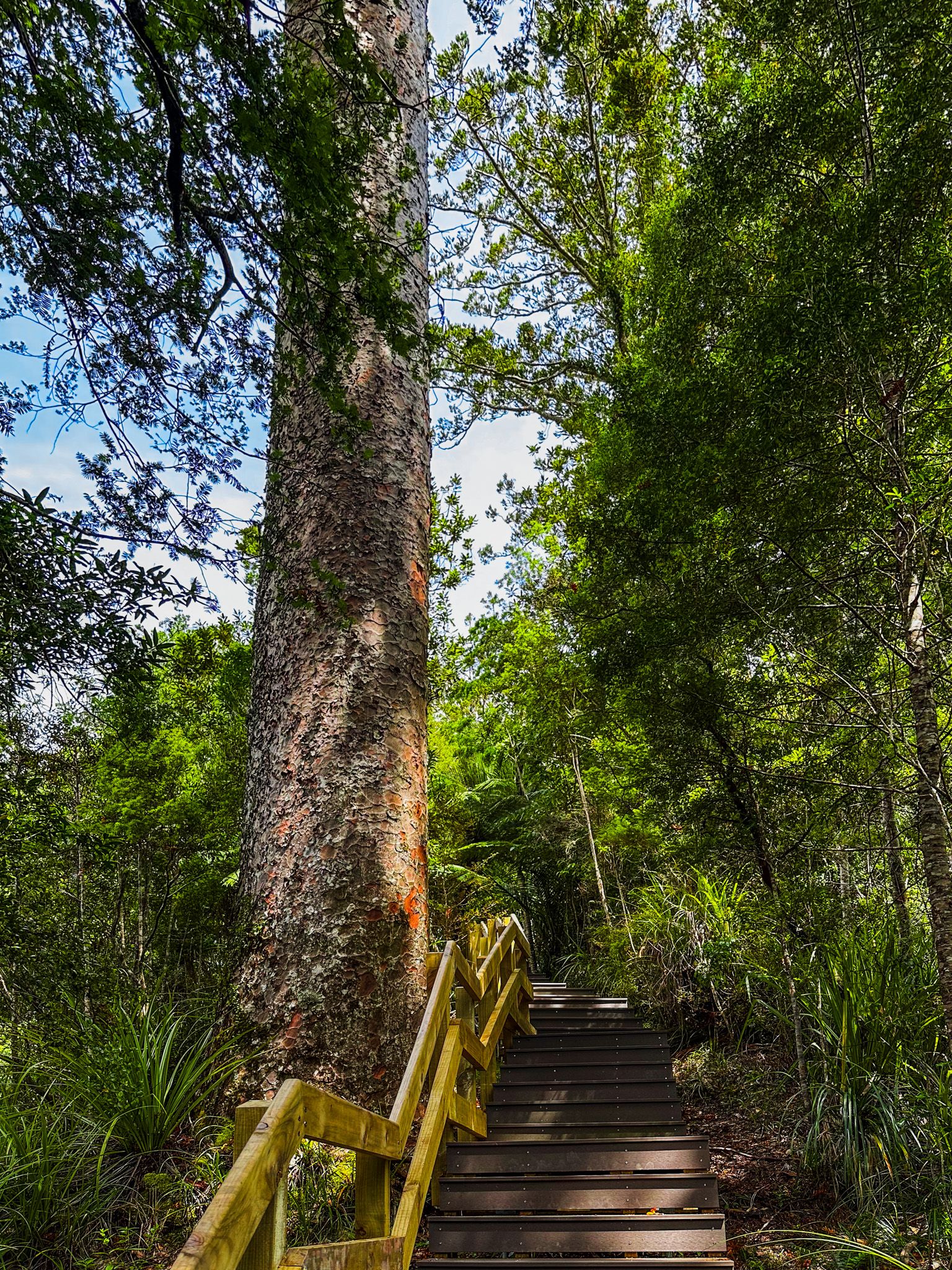Image 7 of 10