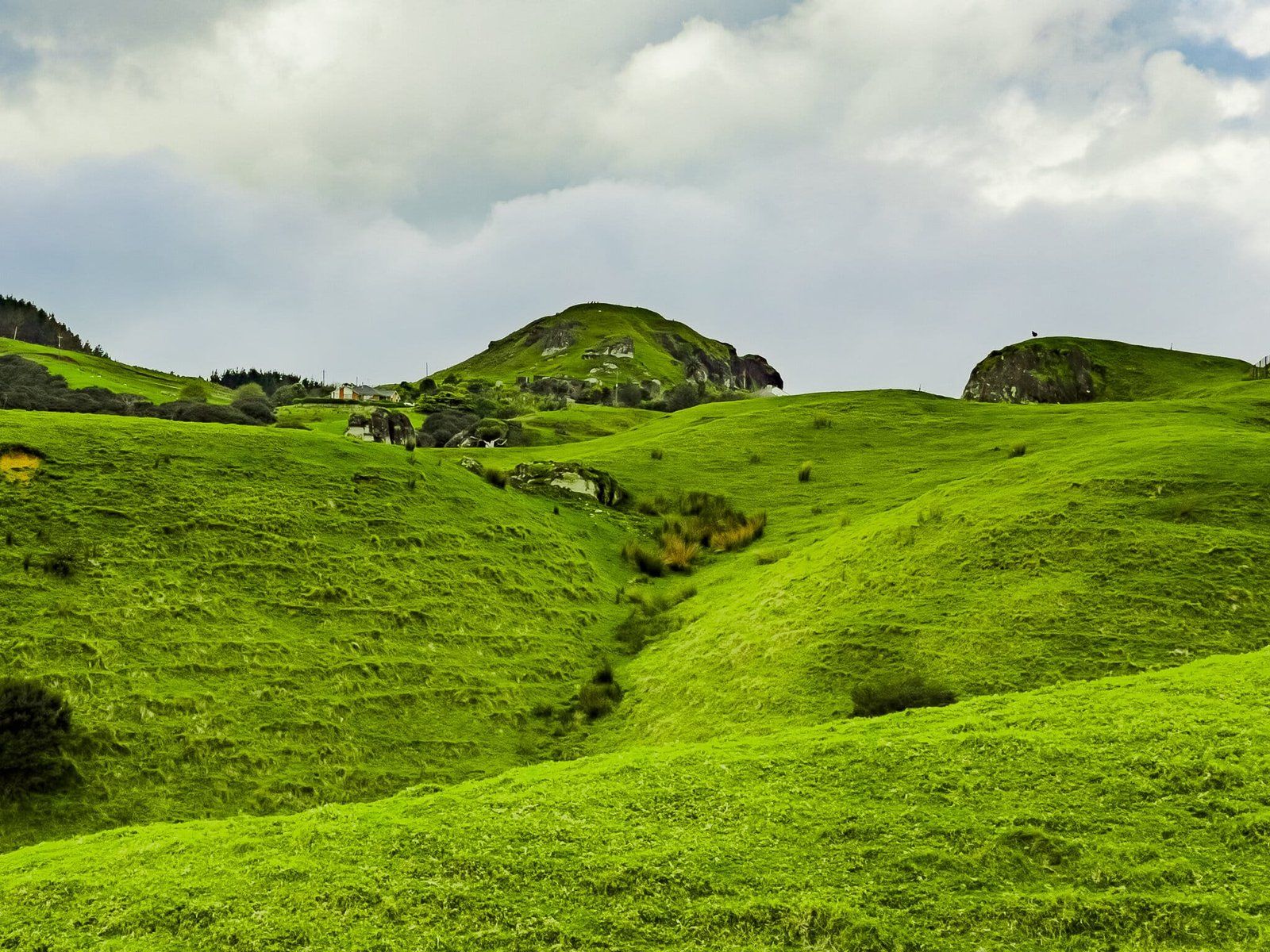 Image 10 of 12