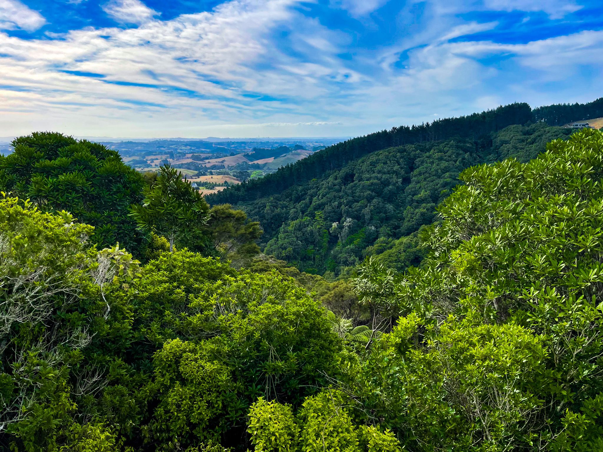 Image 7 of 10
