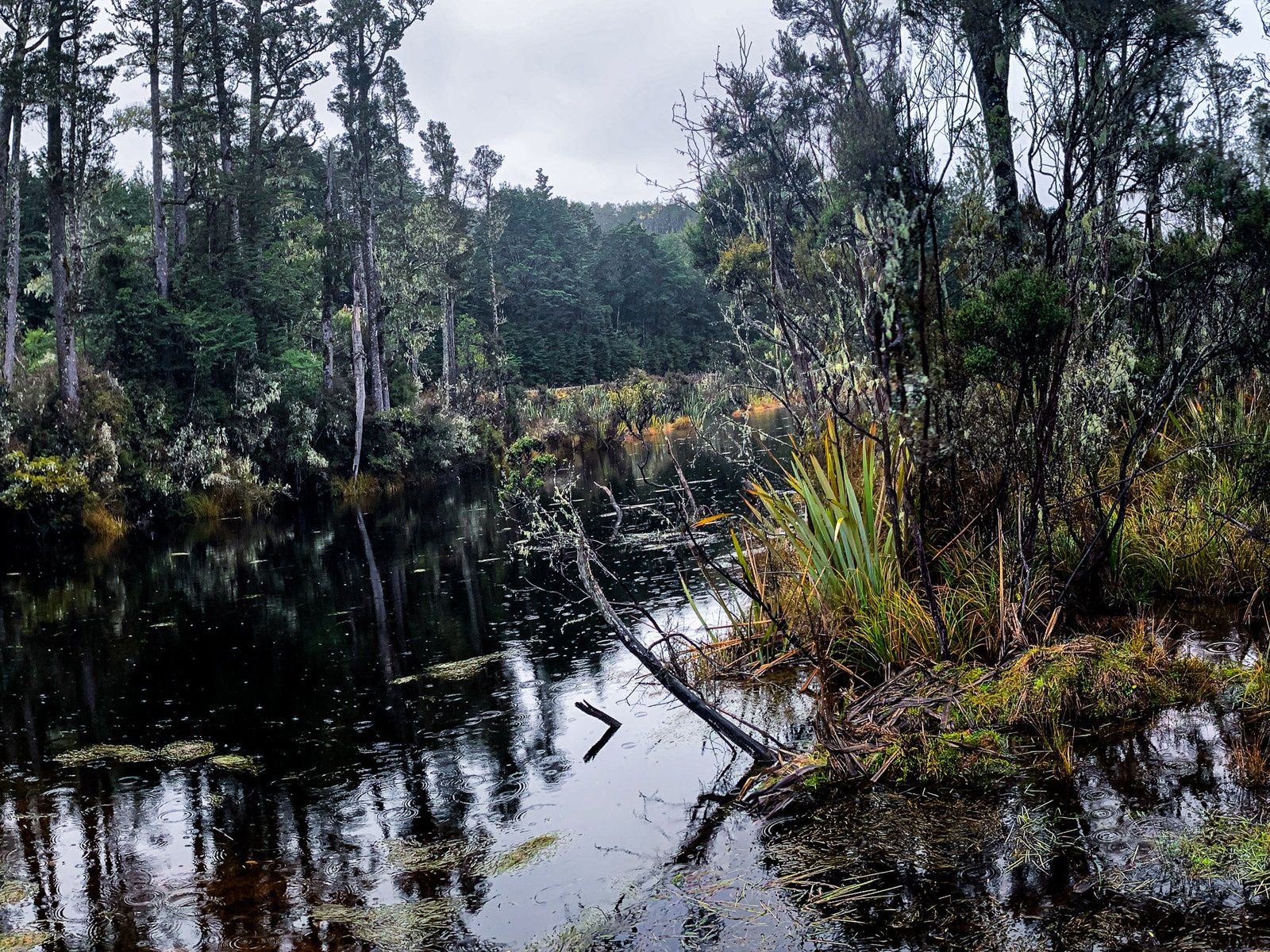 Image 9 of 10