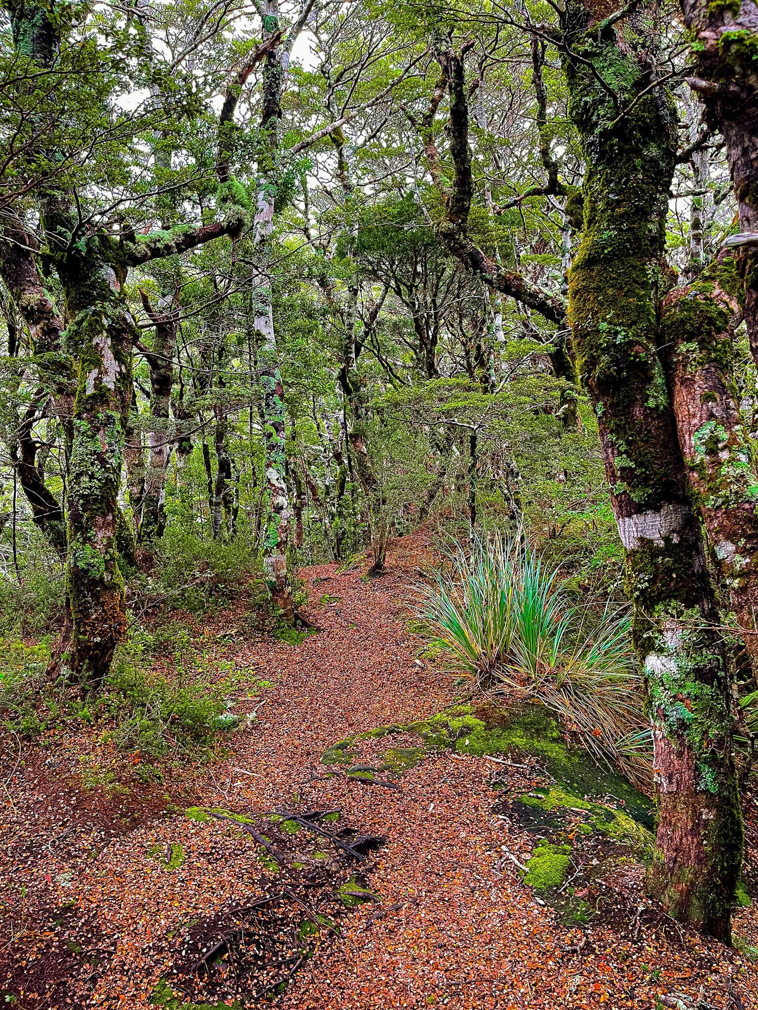Image 10 of 10