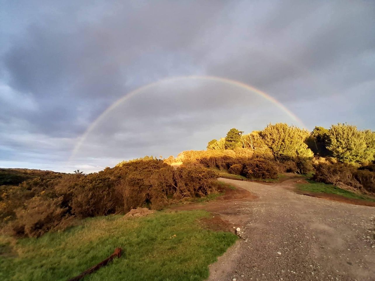 Rakau Whenua Kaimai