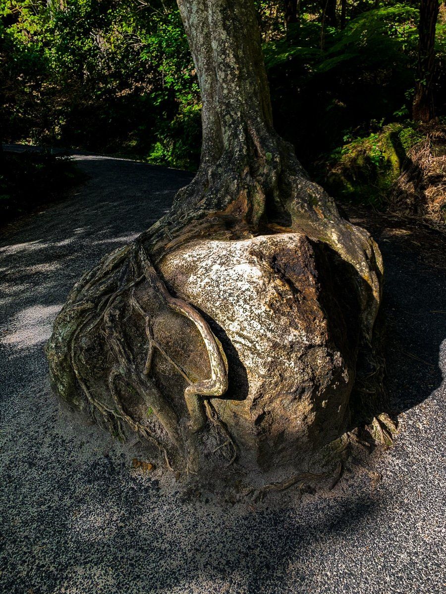 Image 3 of 7