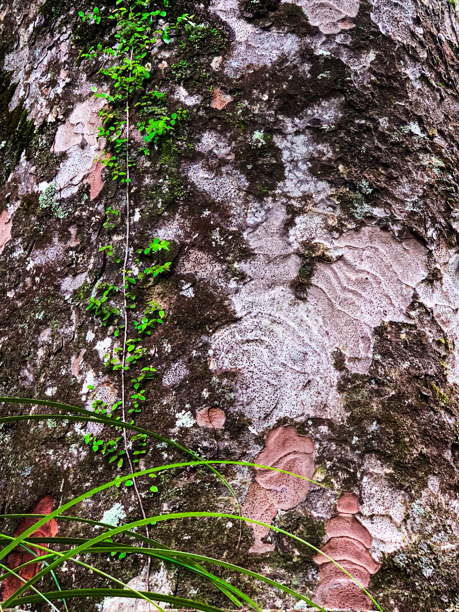 Image 9 of 10