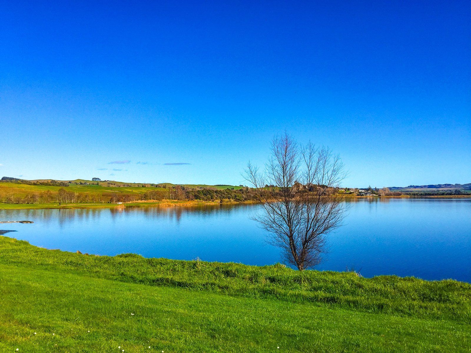 Huntly Lakes