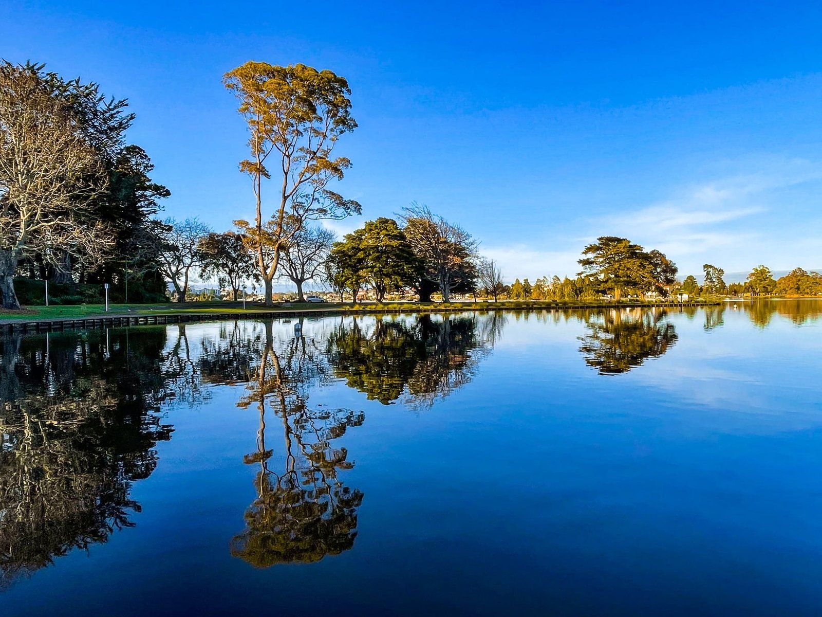 Lake Rotoroa