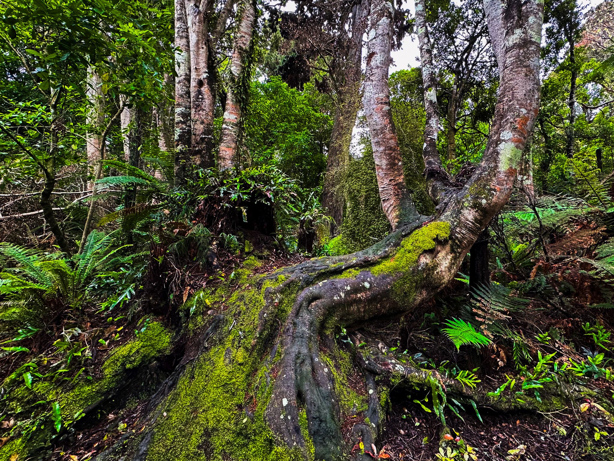 Image 7 of 10