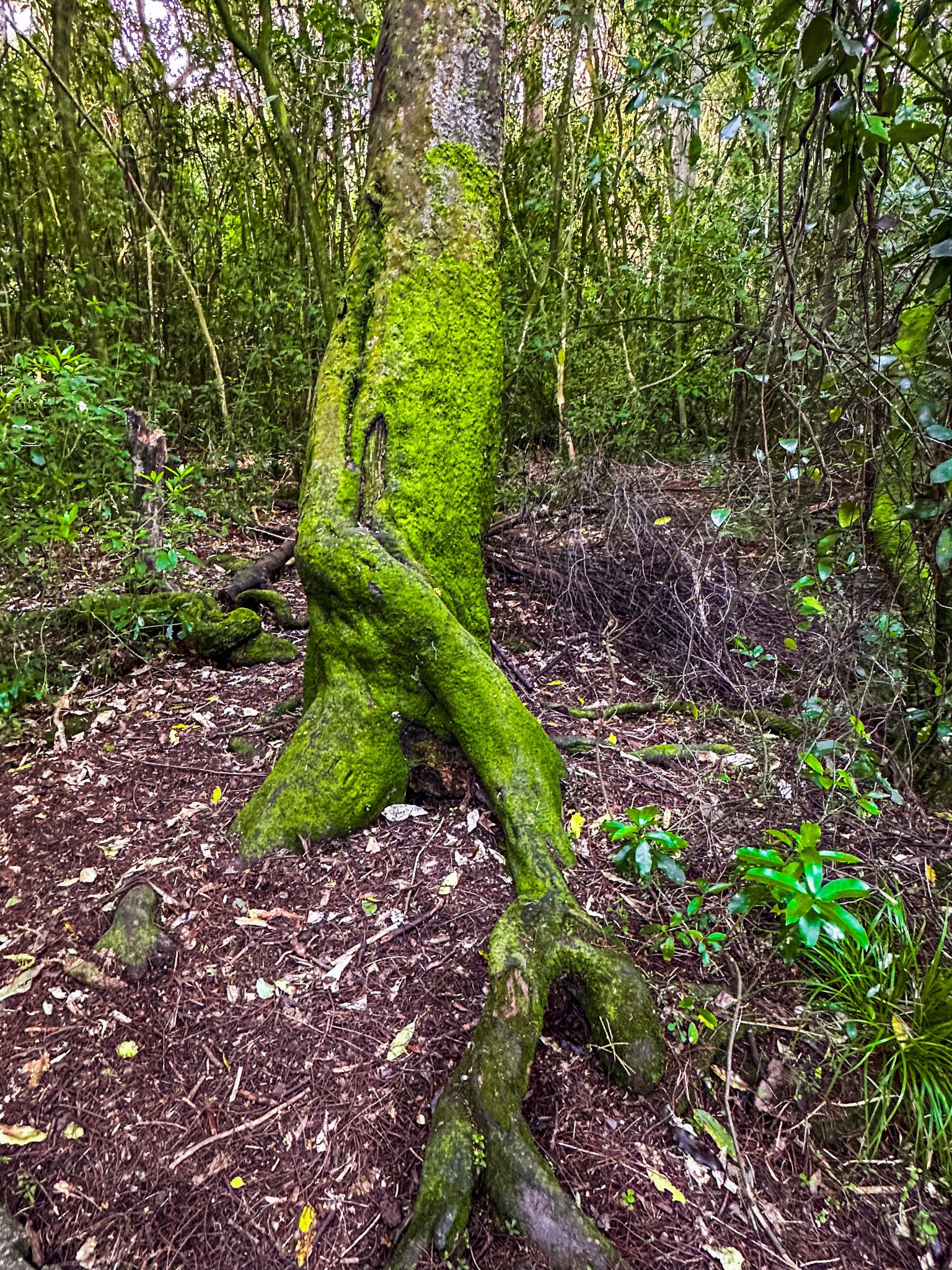 Image 9 of 10