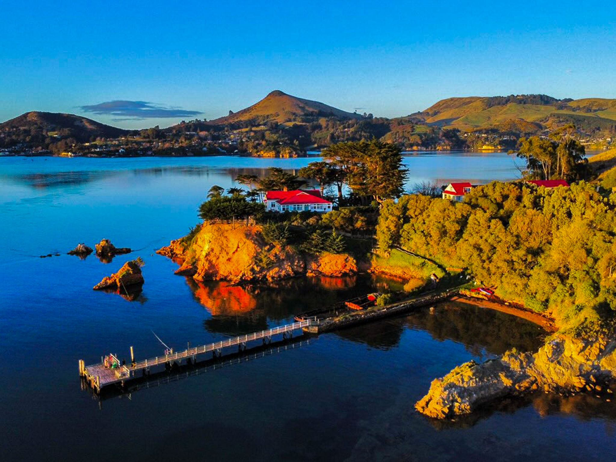 Quarantine Island / Kamau Taurua