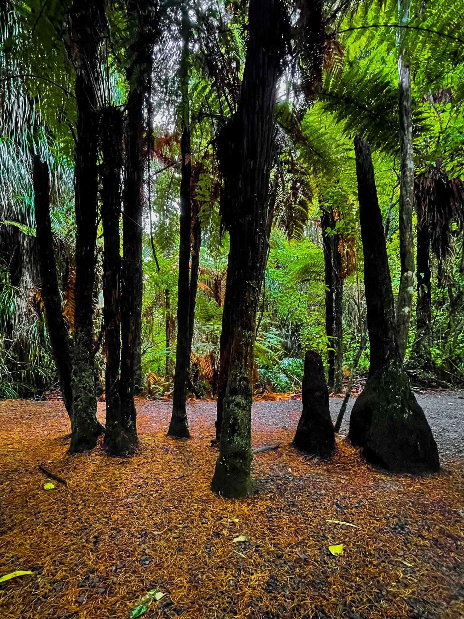 Image 7 of 10