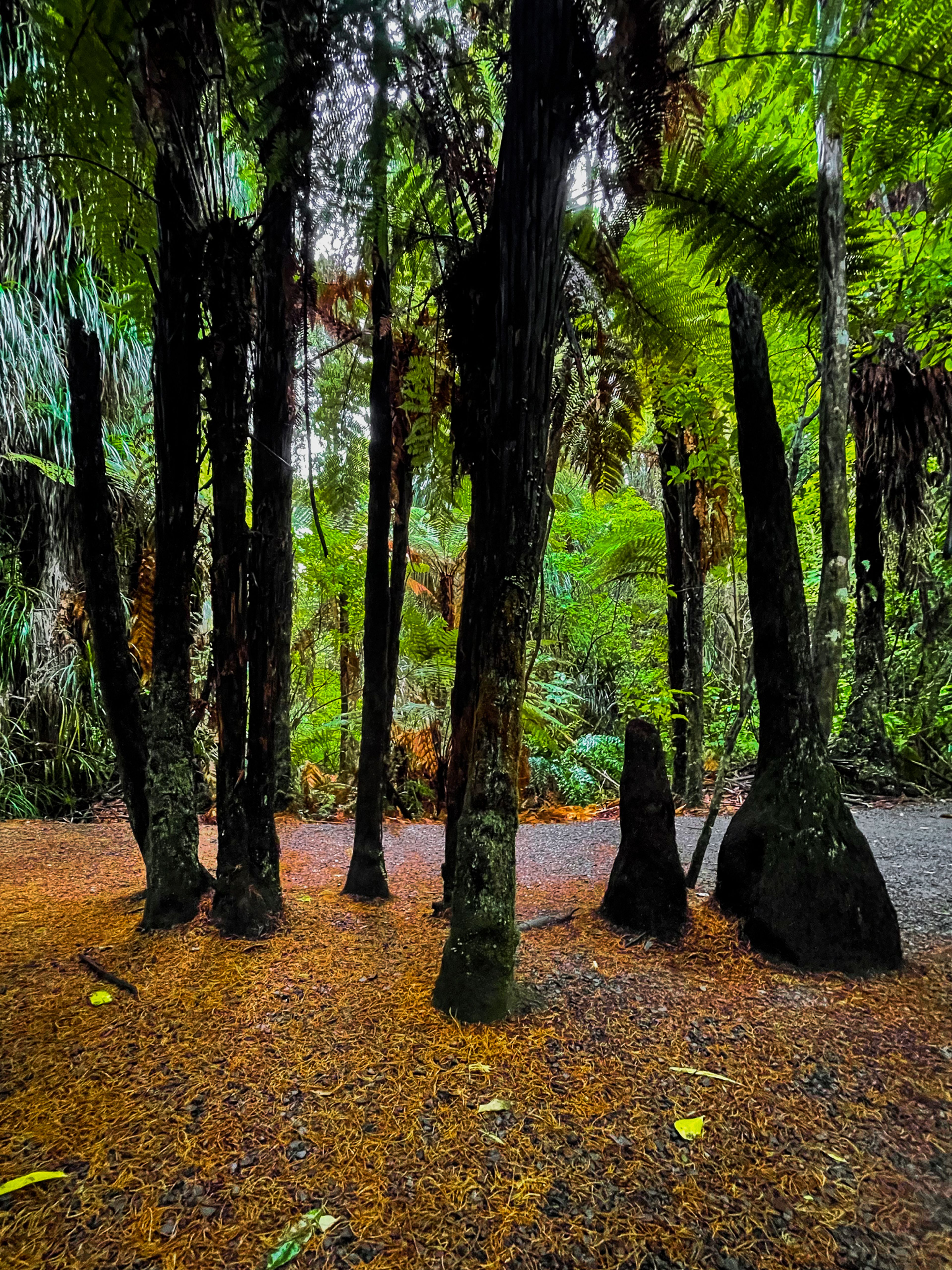 Image 7 of 10