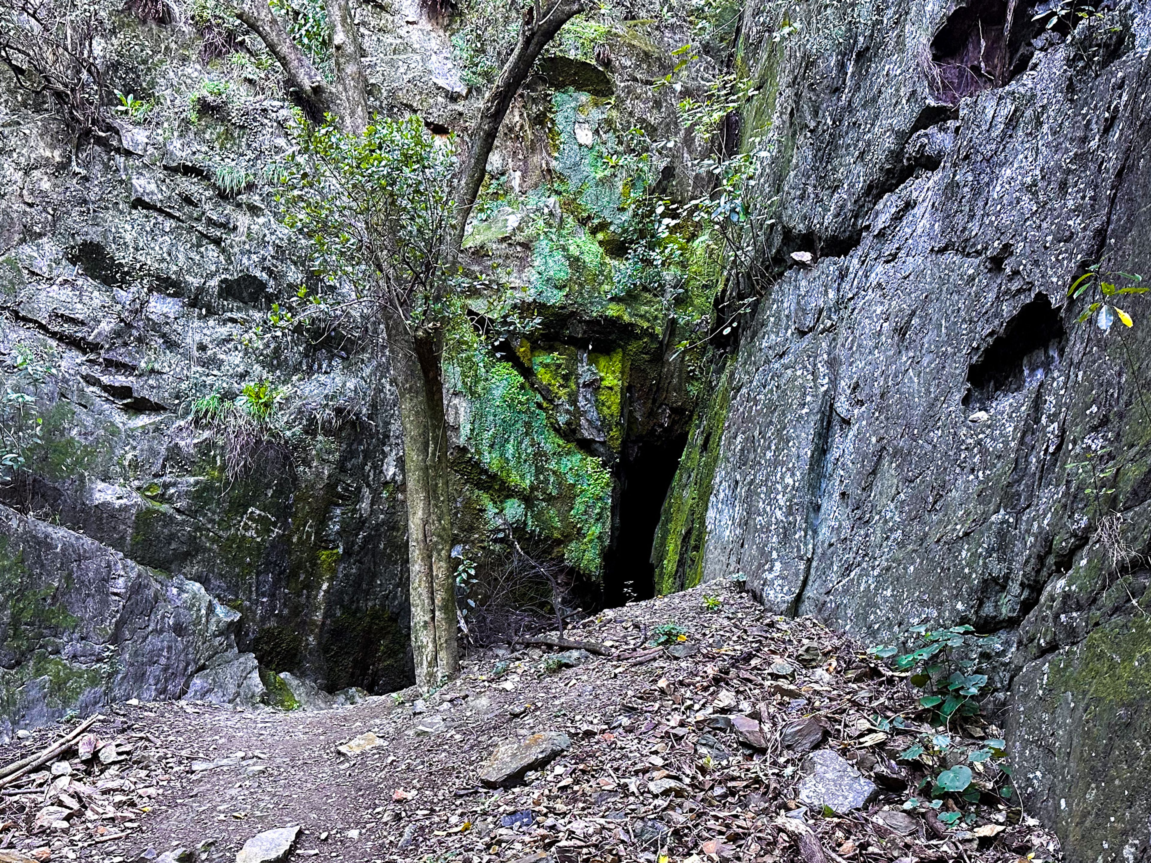 Image 2 of 10