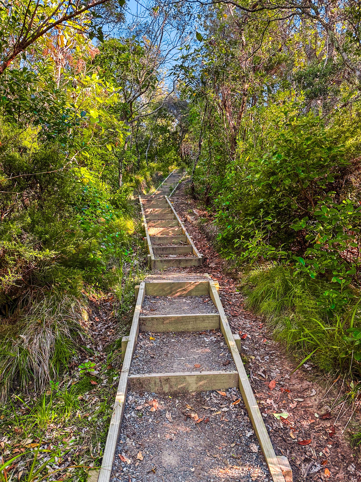 Image 9 of 10