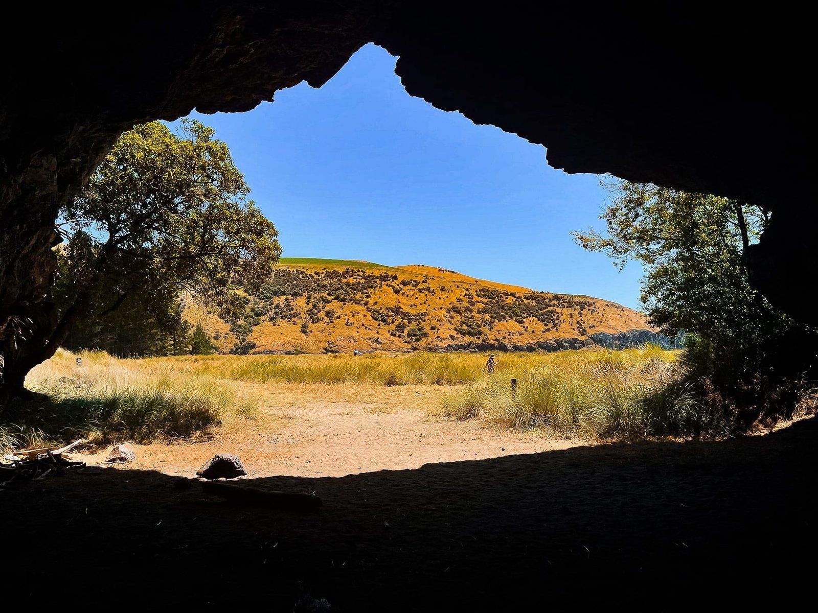Image 6 of 10