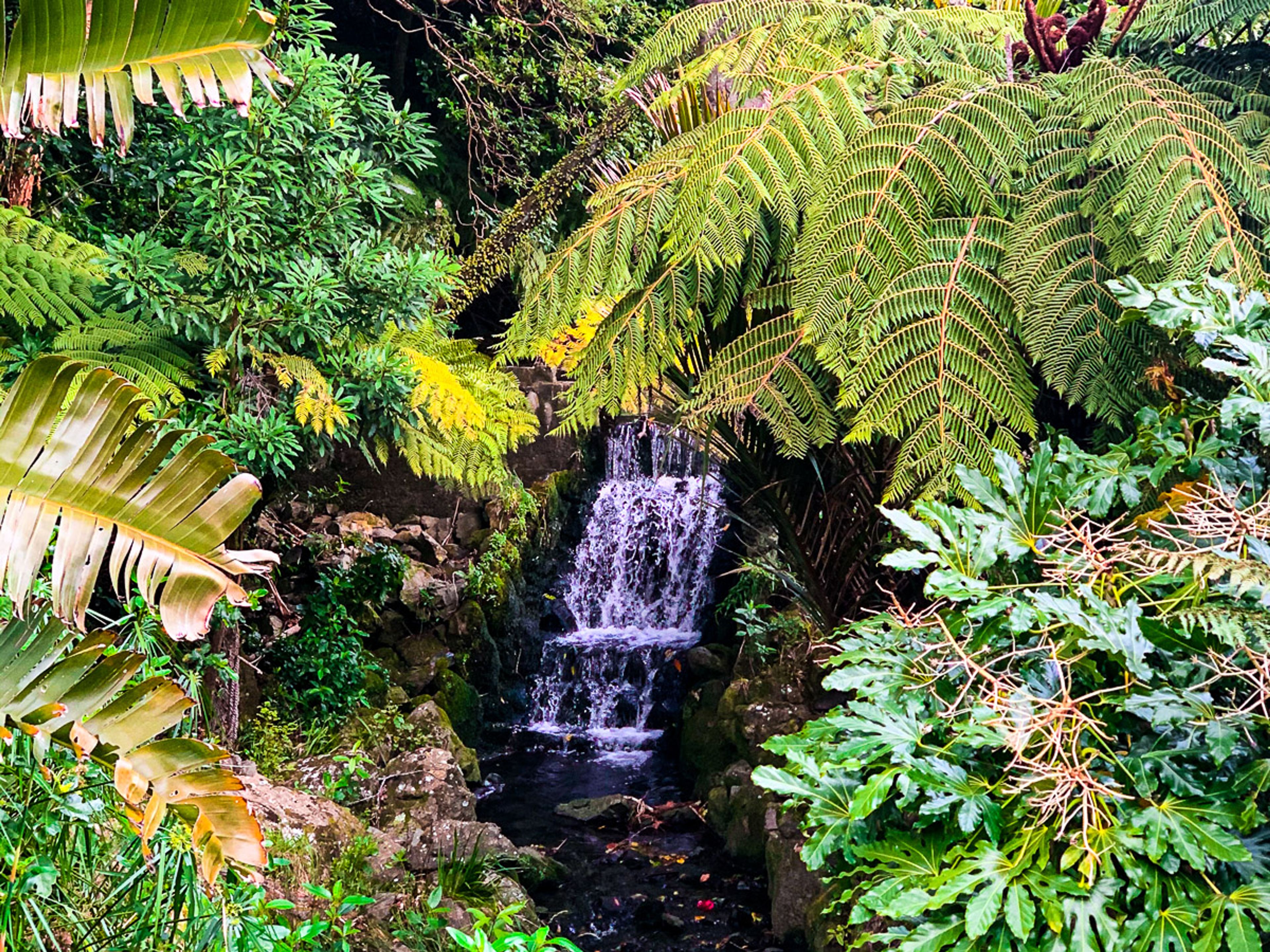 Image 9 of 10