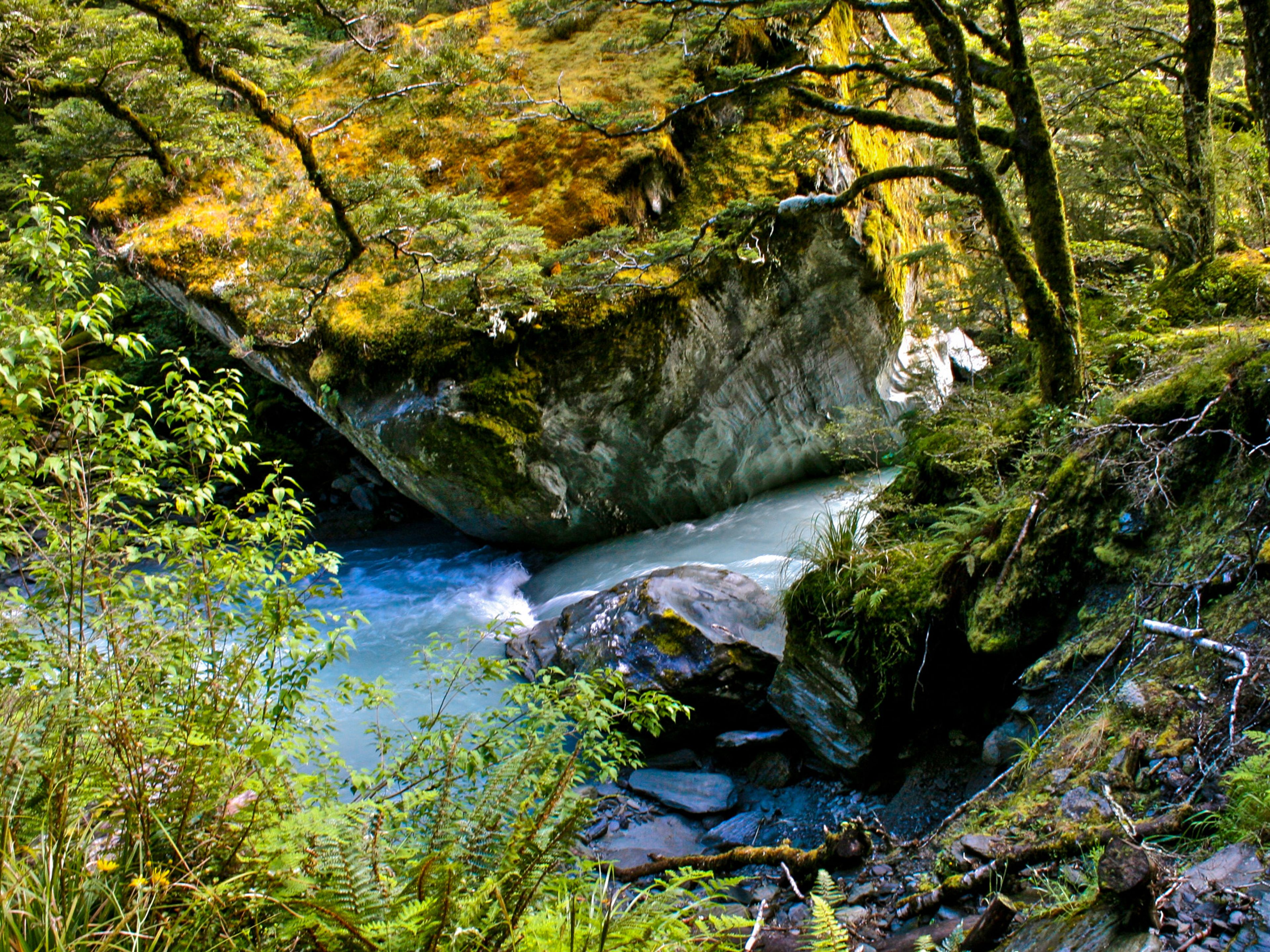 Image 4 of 10