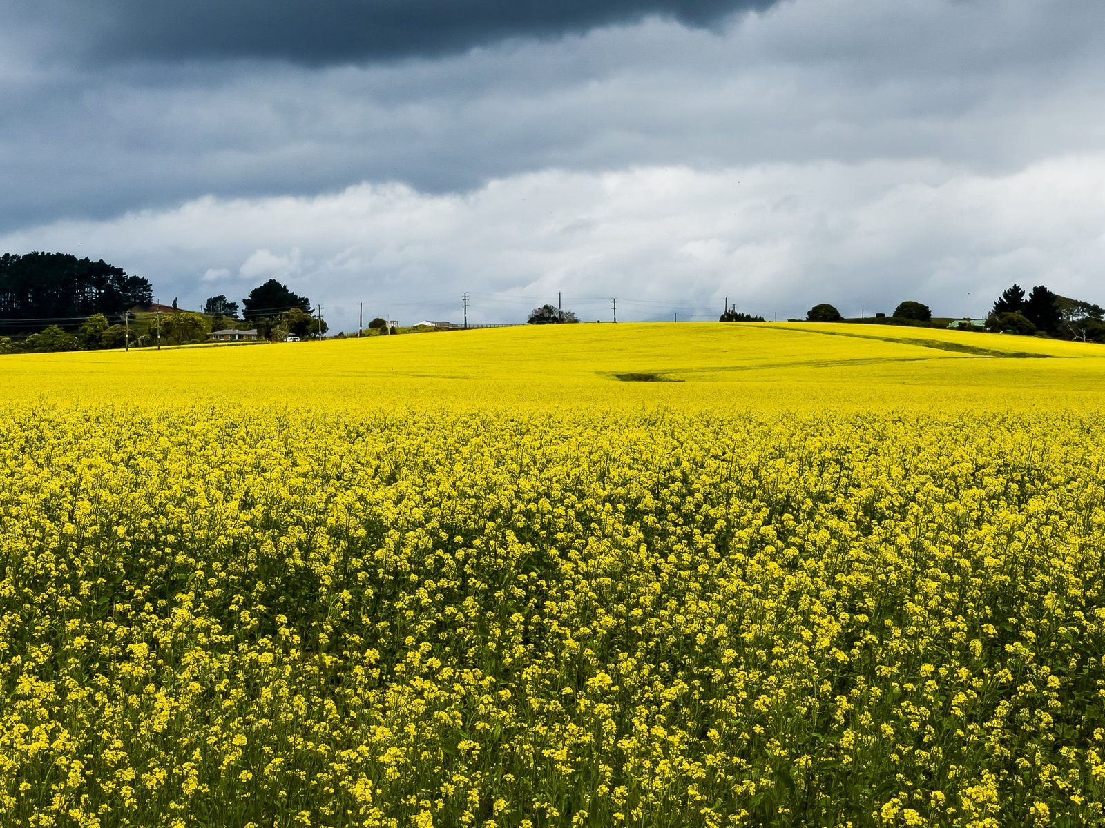 Landscapes of Northern Waikato