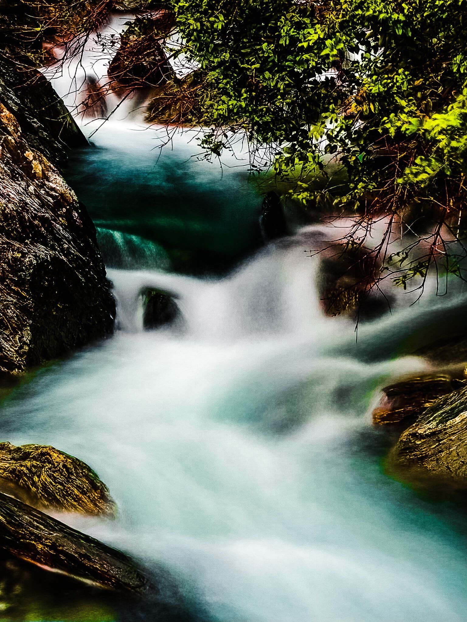 Image 7 of 9