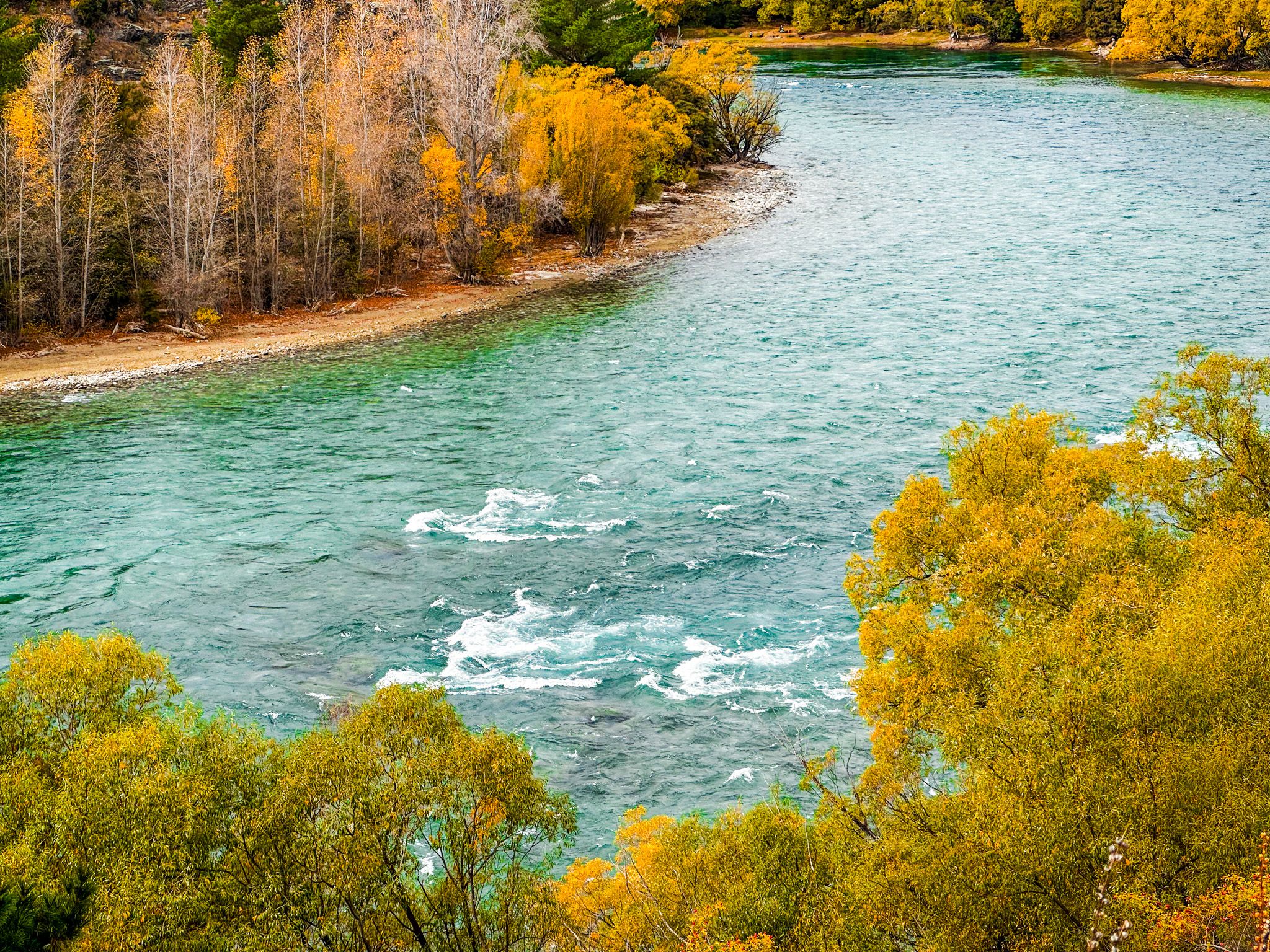 Upper Clutha River Track