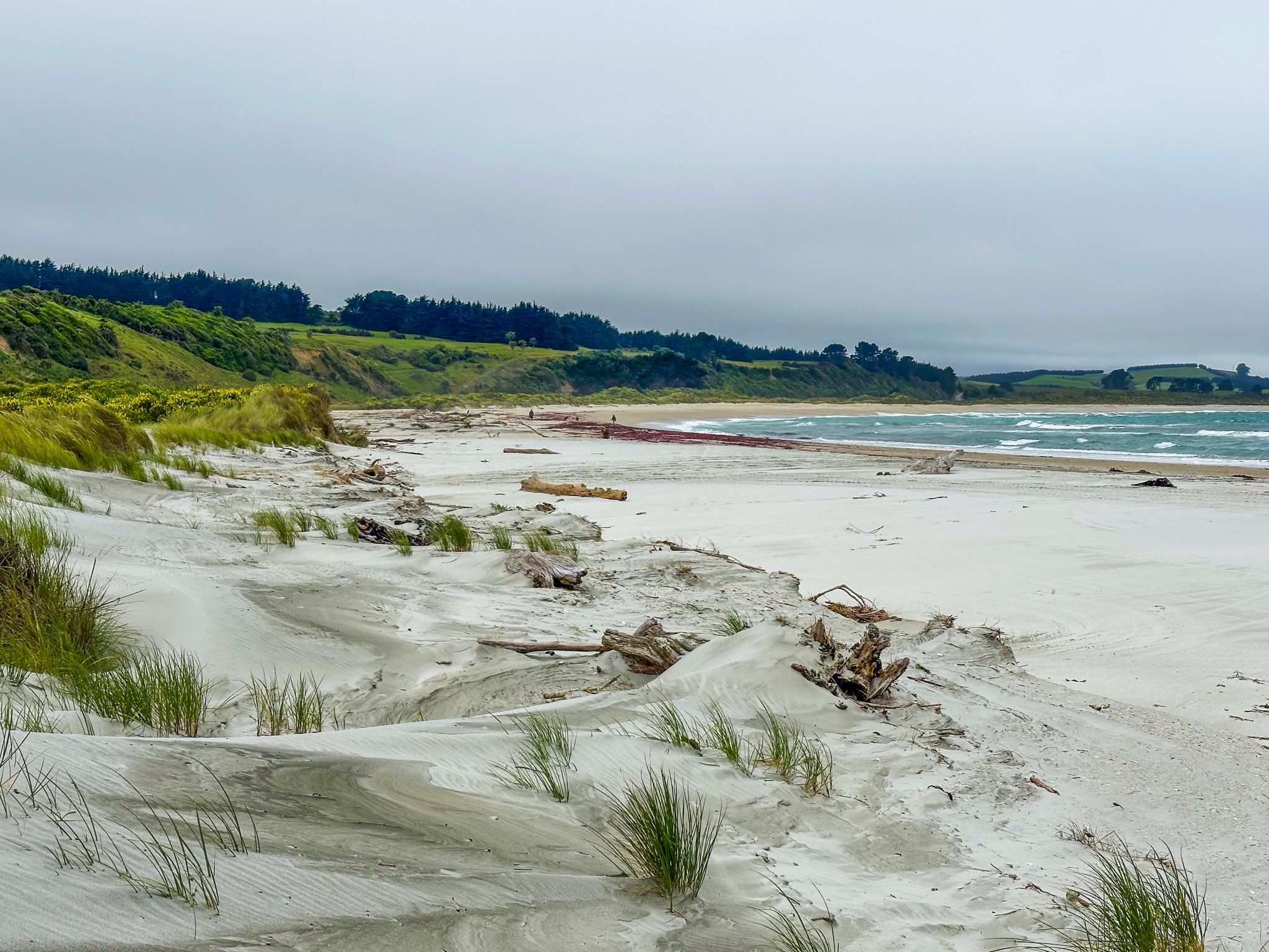 Measly Beach