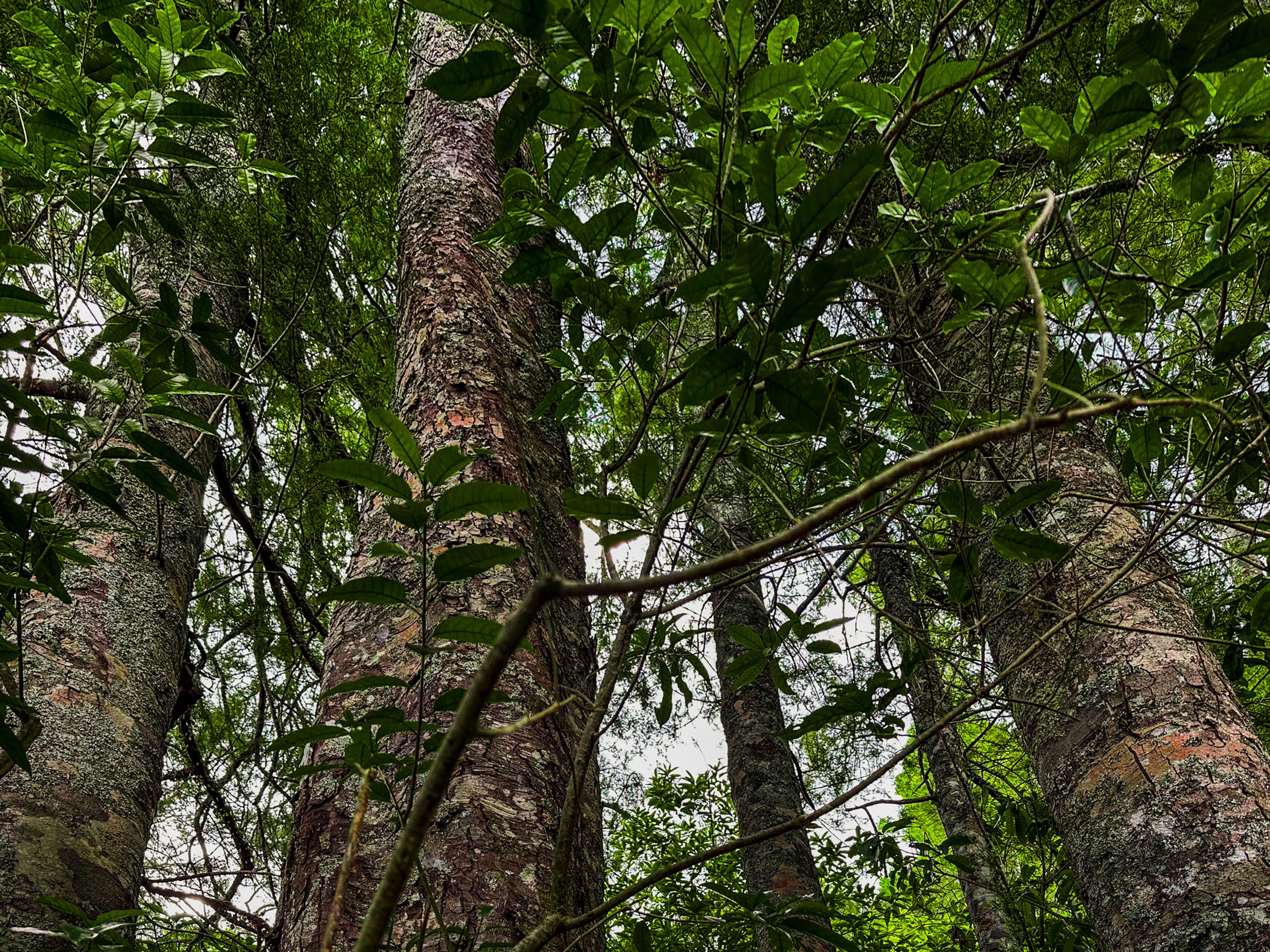 Image 8 of 10