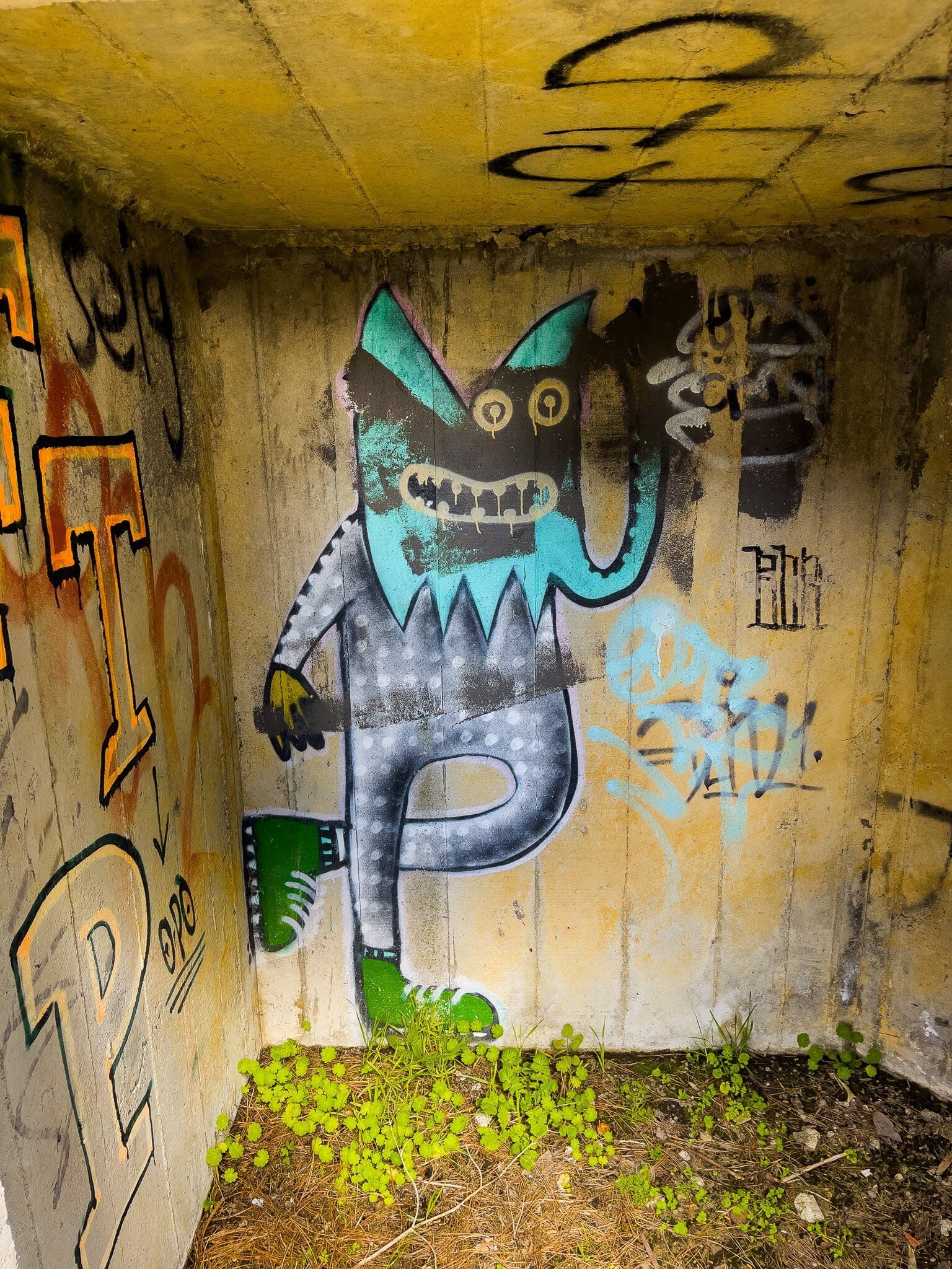 Image 5 of 11