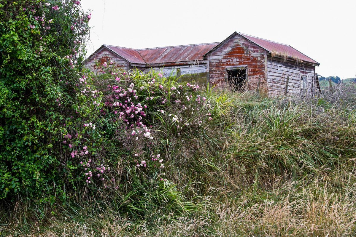 Image 6 of 6