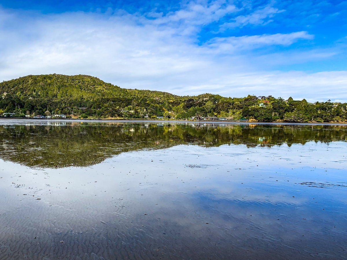 Huia
