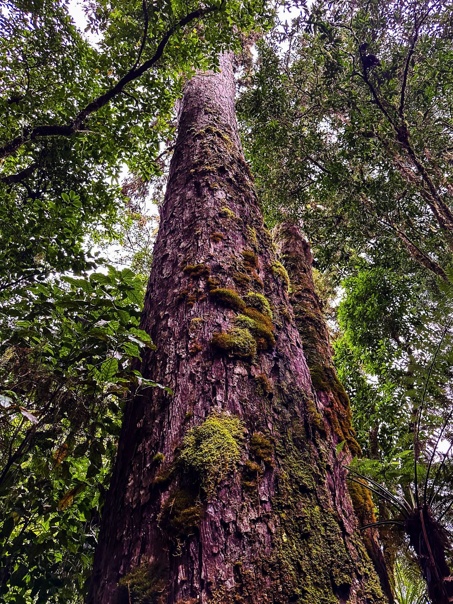 Image 5 of 9