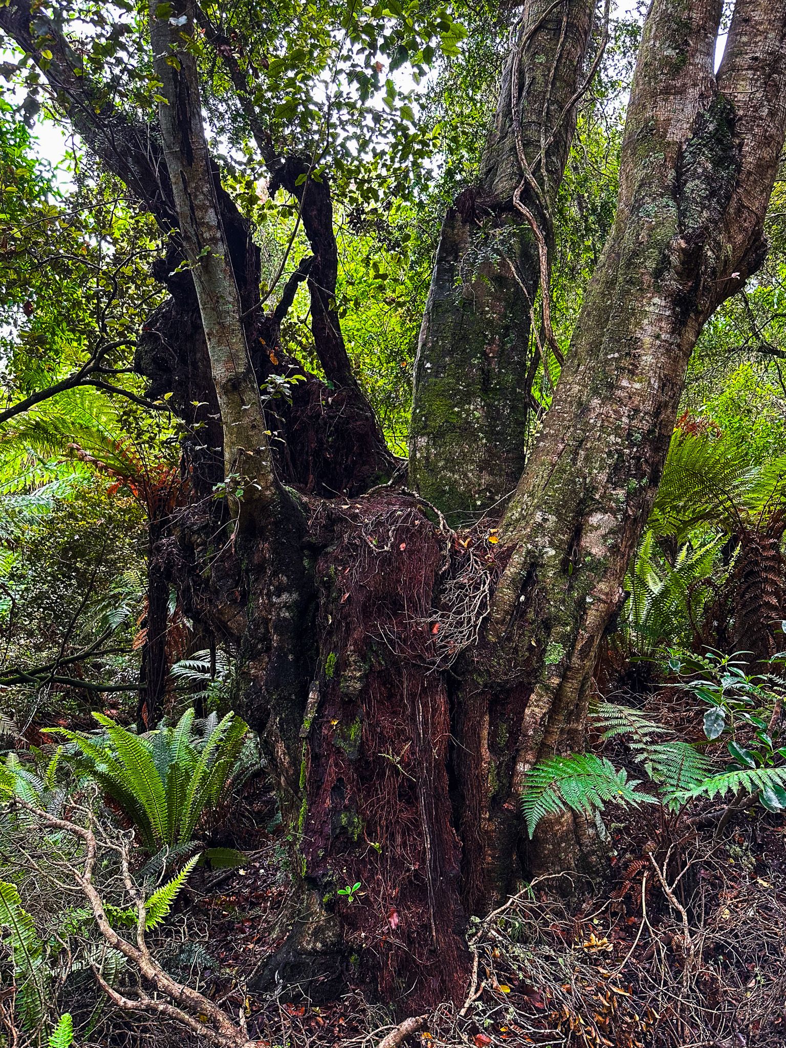 Image 10 of 10