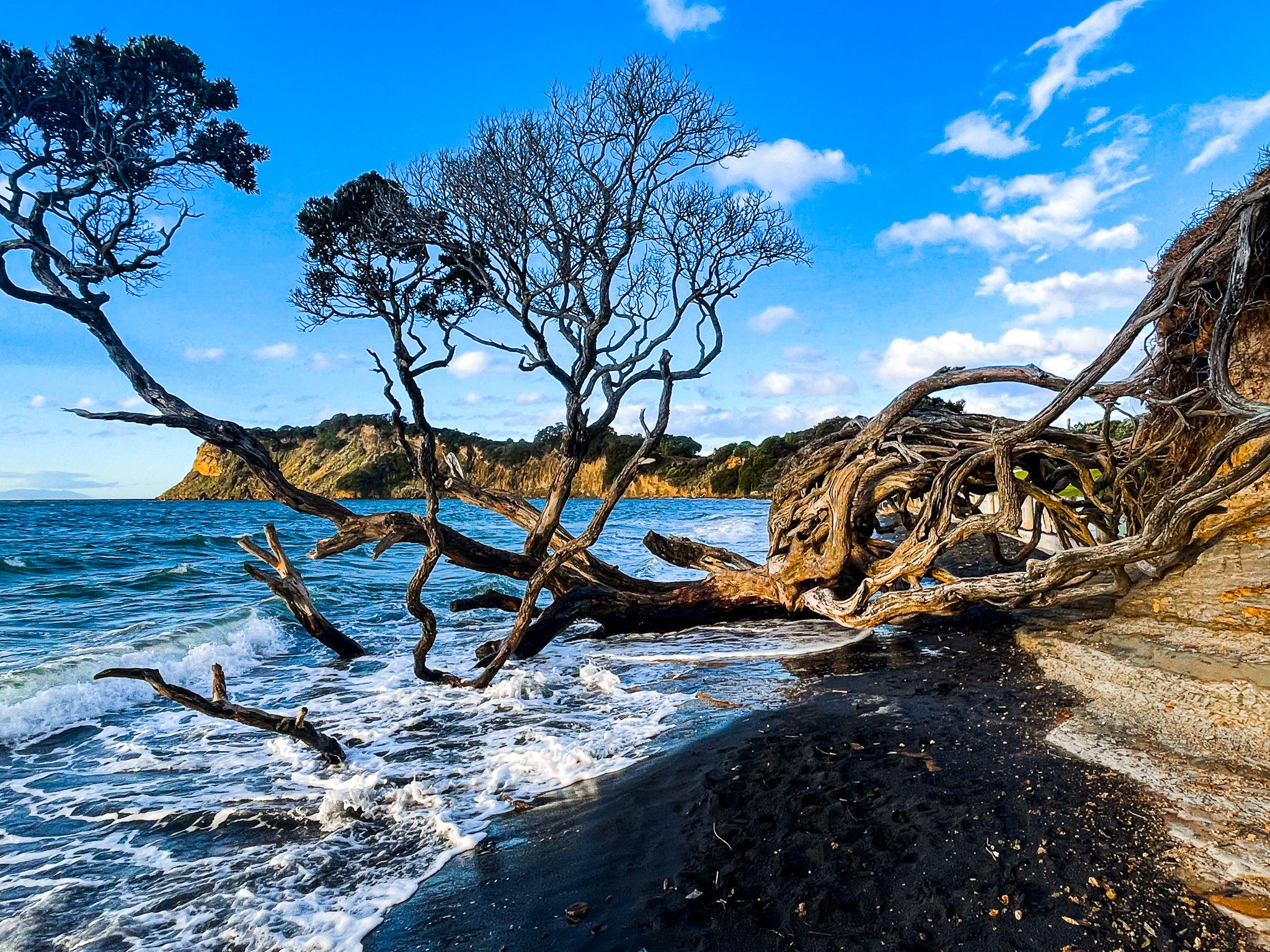Army Bay